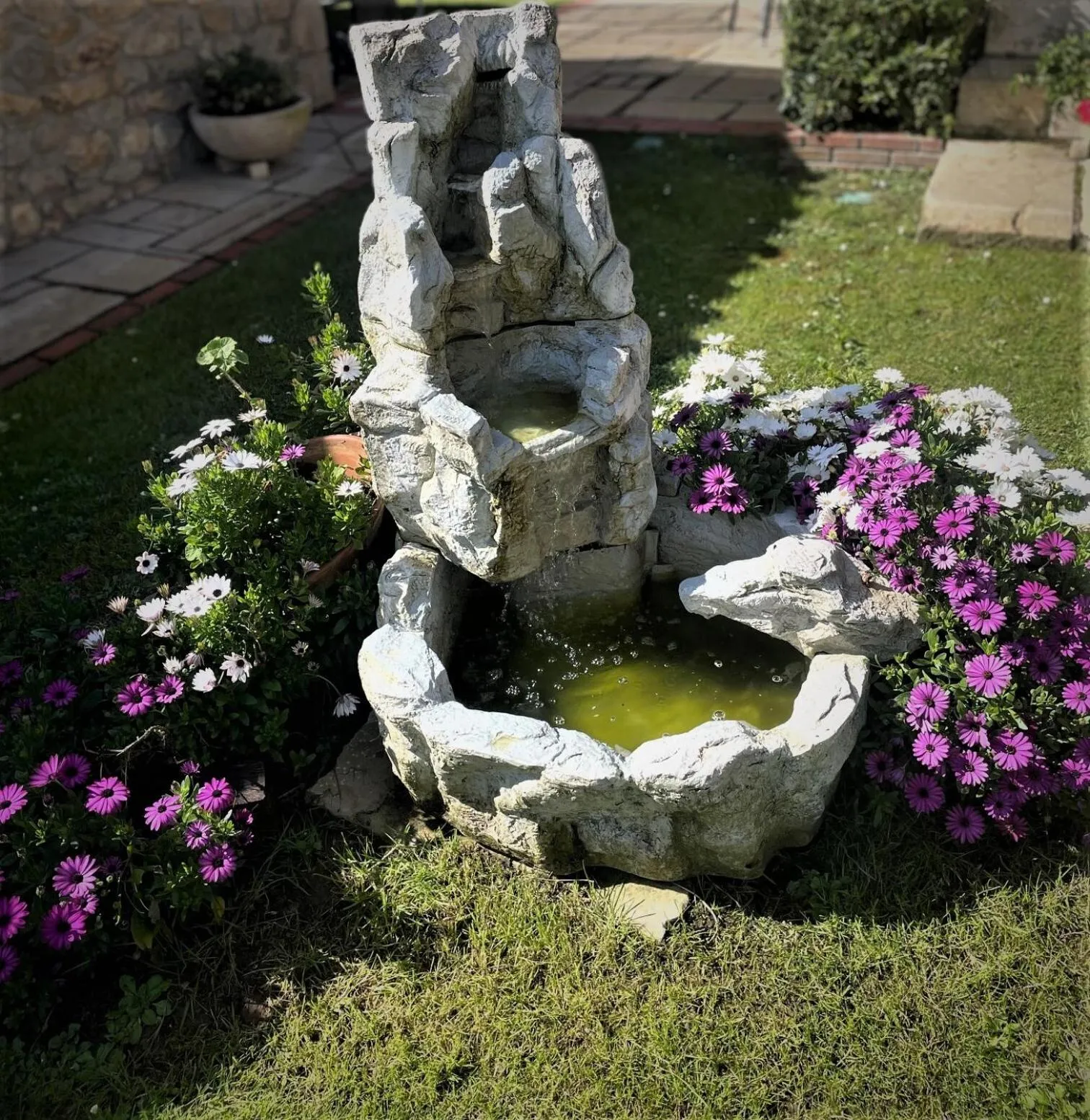 Garden in Posada La Victoria