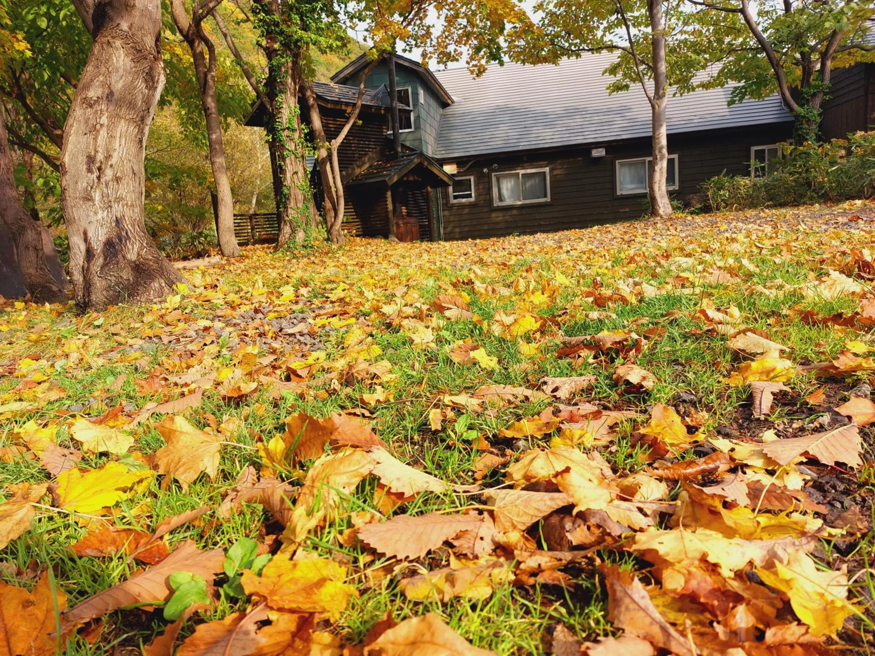 Natural landscape in Winkel Village
