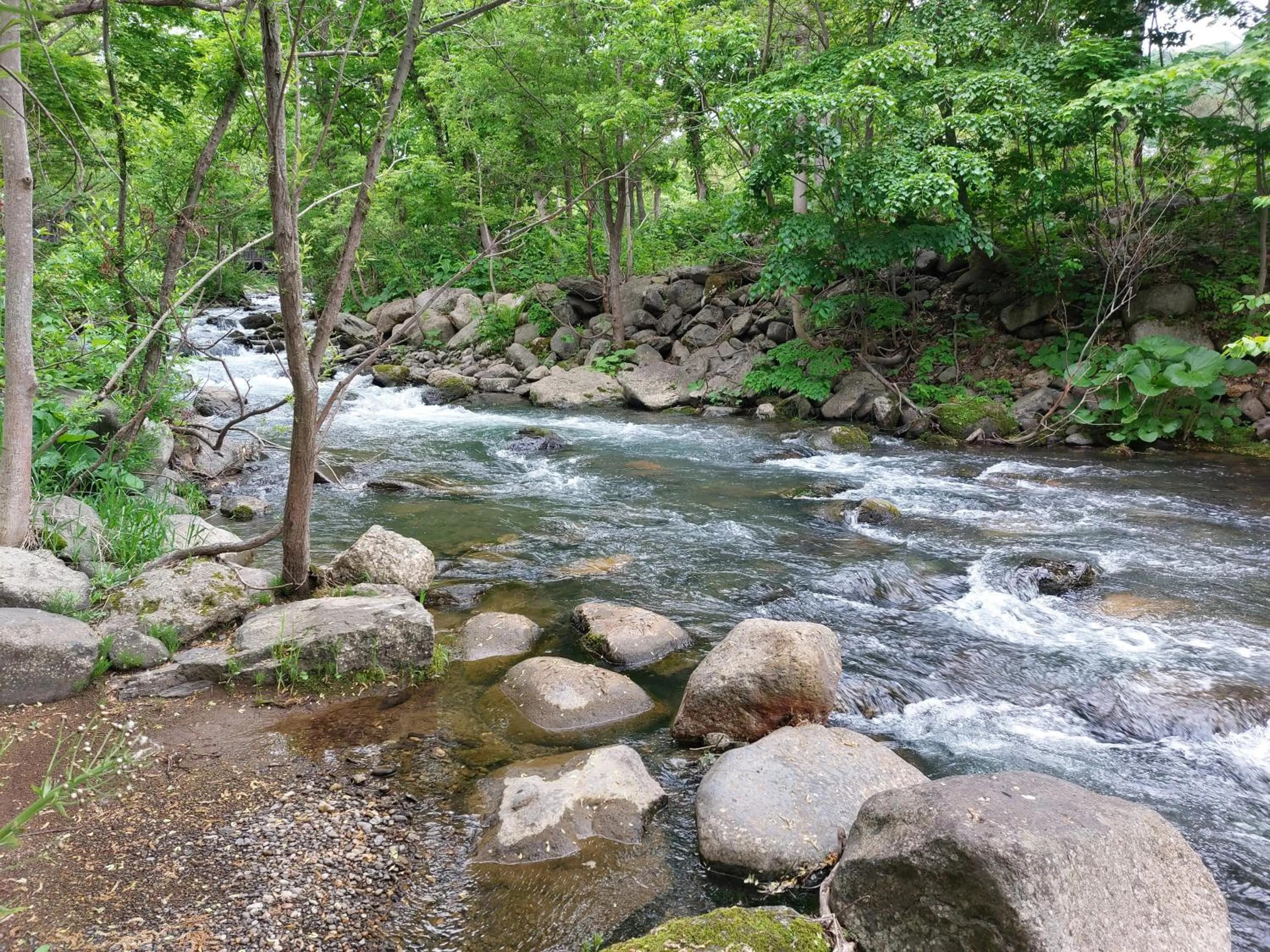 Natural landscape in Winkel Village