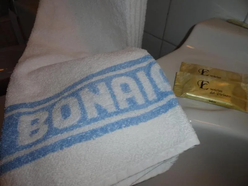 Bathroom, Bed in Hotel La Bonaigua