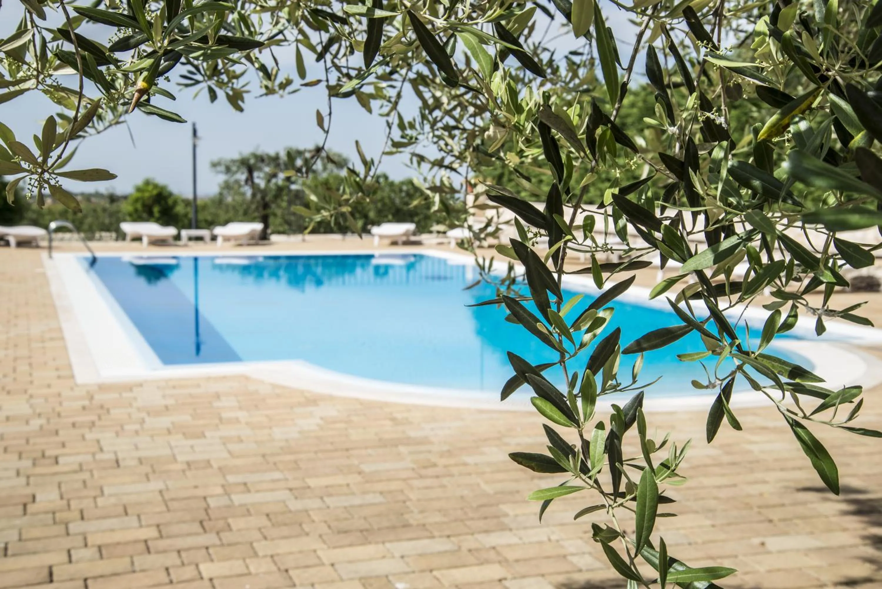 Pool view in Masseria Gravelle