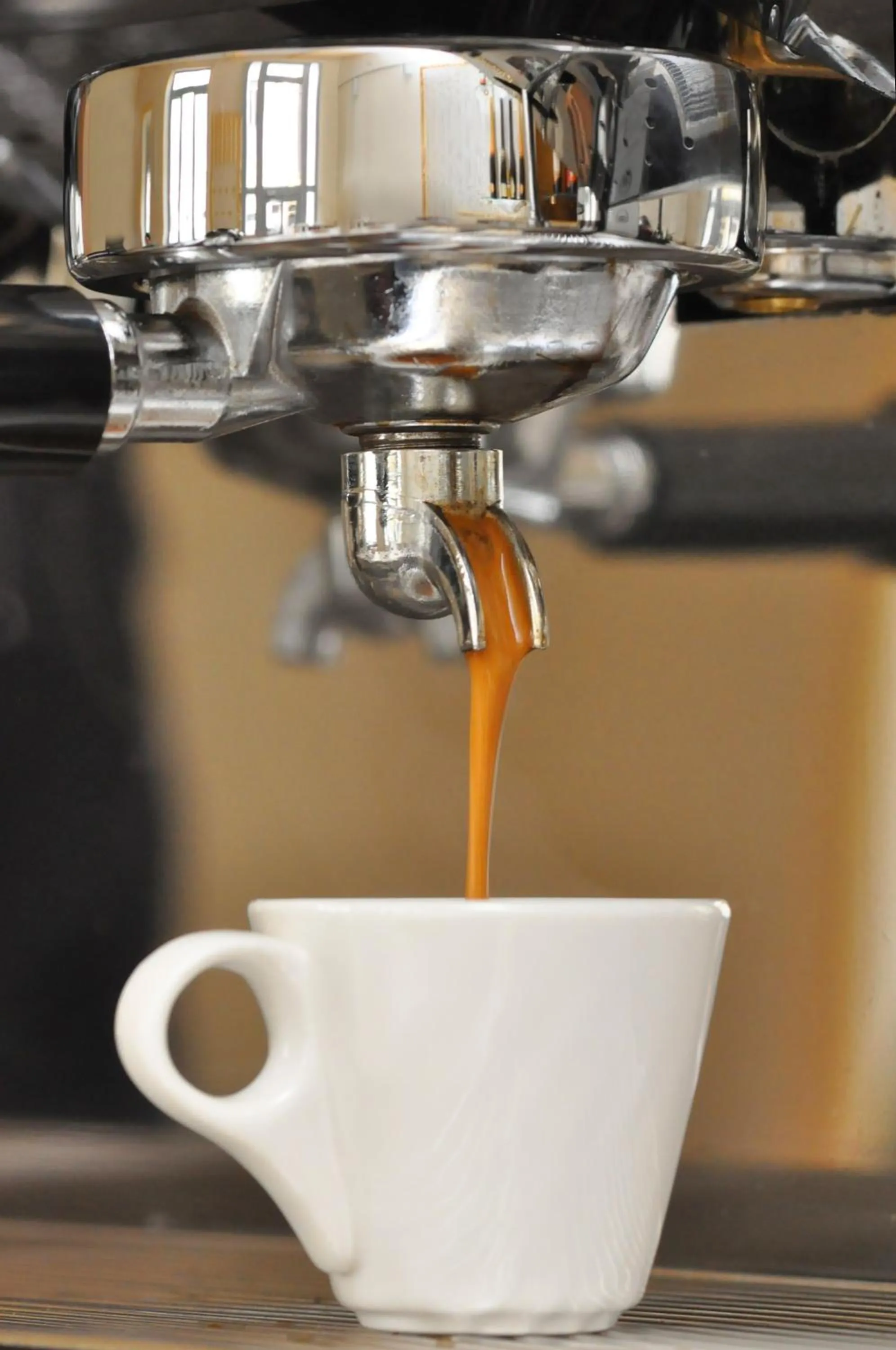 Food and drinks in Hotel Bova