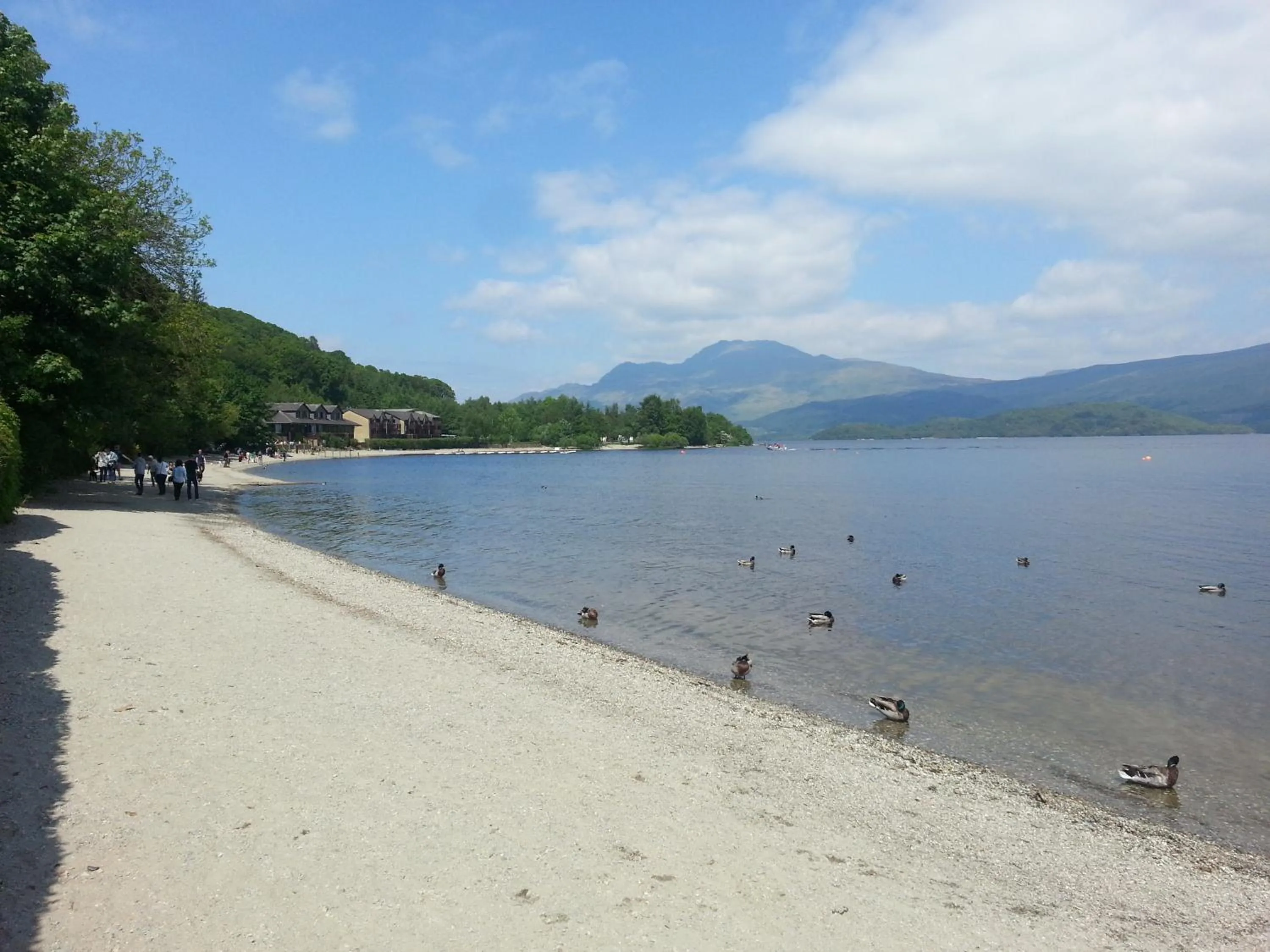 Beach in The Lodge On Loch Lomond Hotel