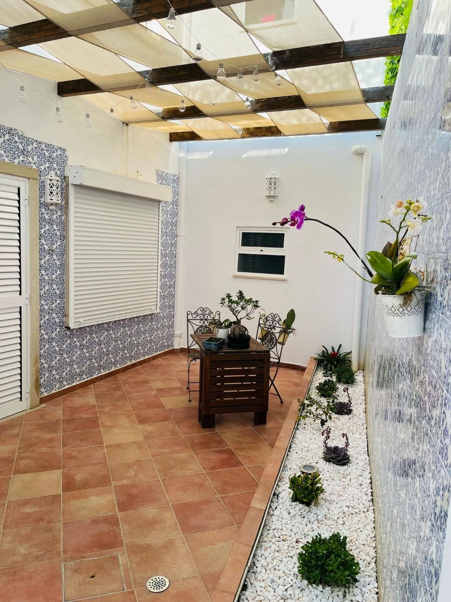 Garden in Senhor Gigi