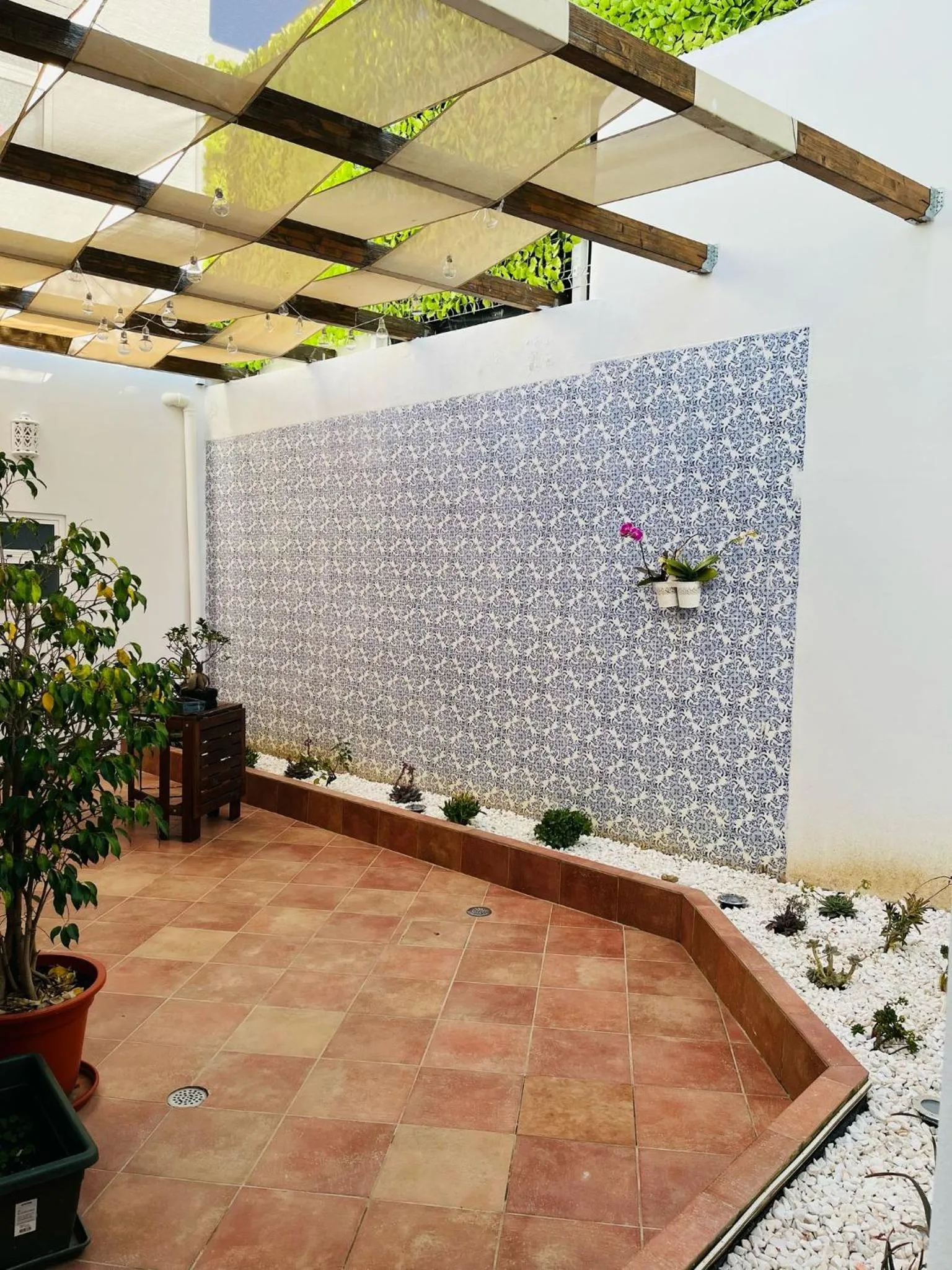 Garden in Senhor Gigi