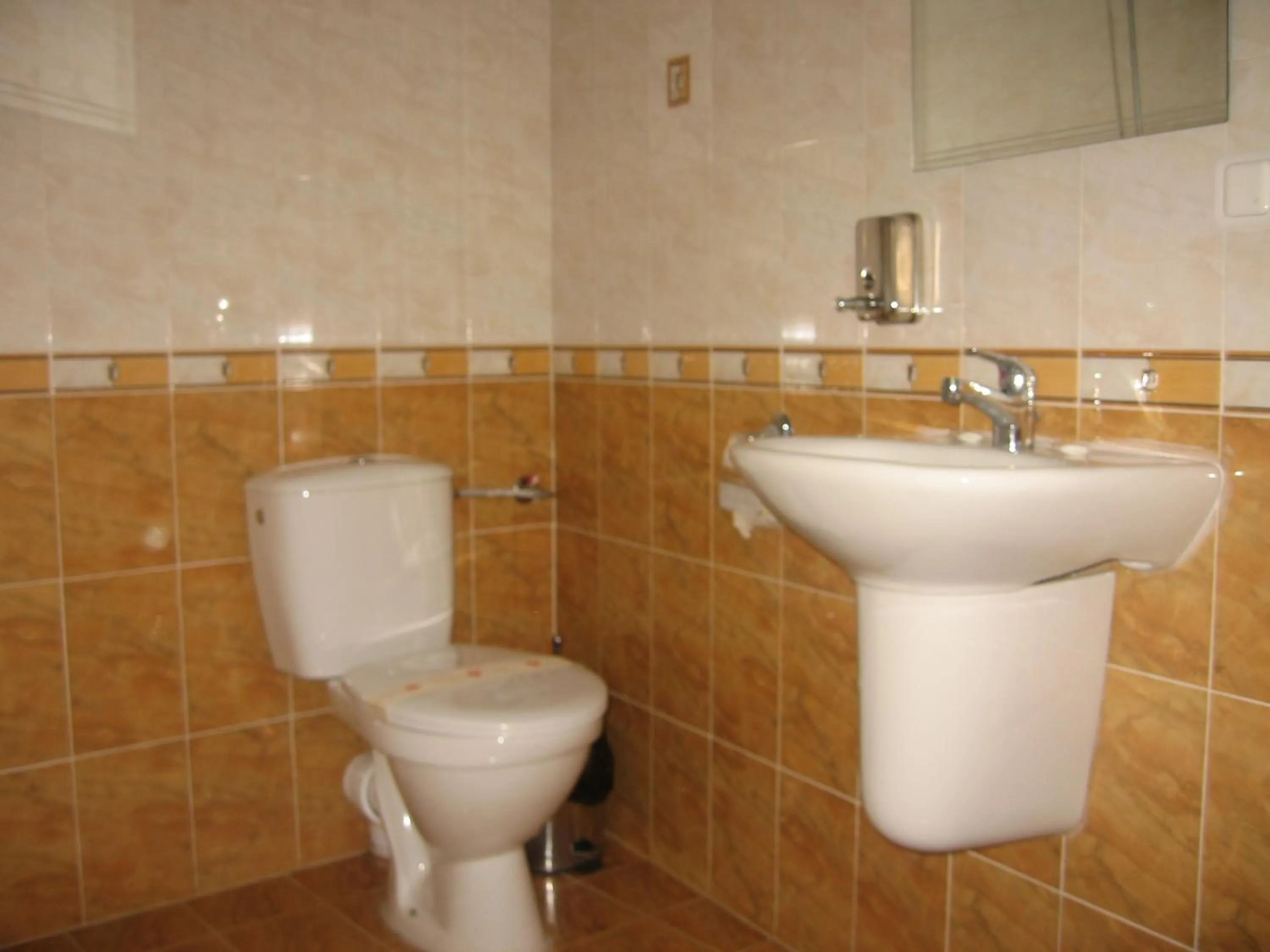 Other in Family Hotel Miglena