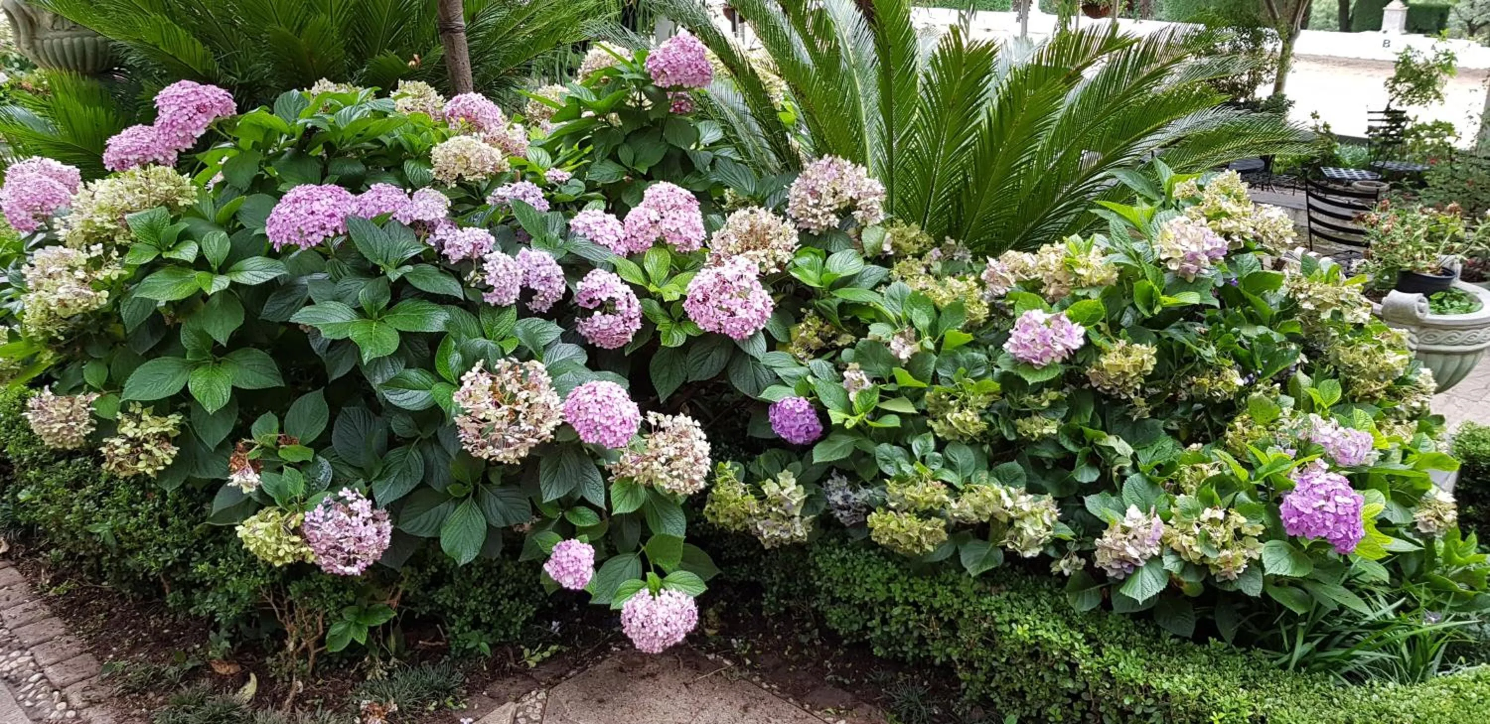 Garden in Pheasant Hill Bed and Breakfast