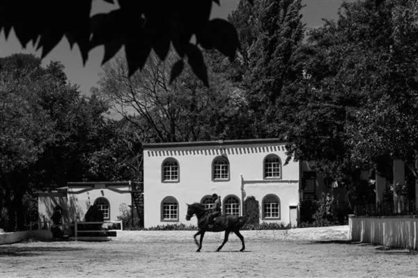 Property building in Pheasant Hill Bed and Breakfast