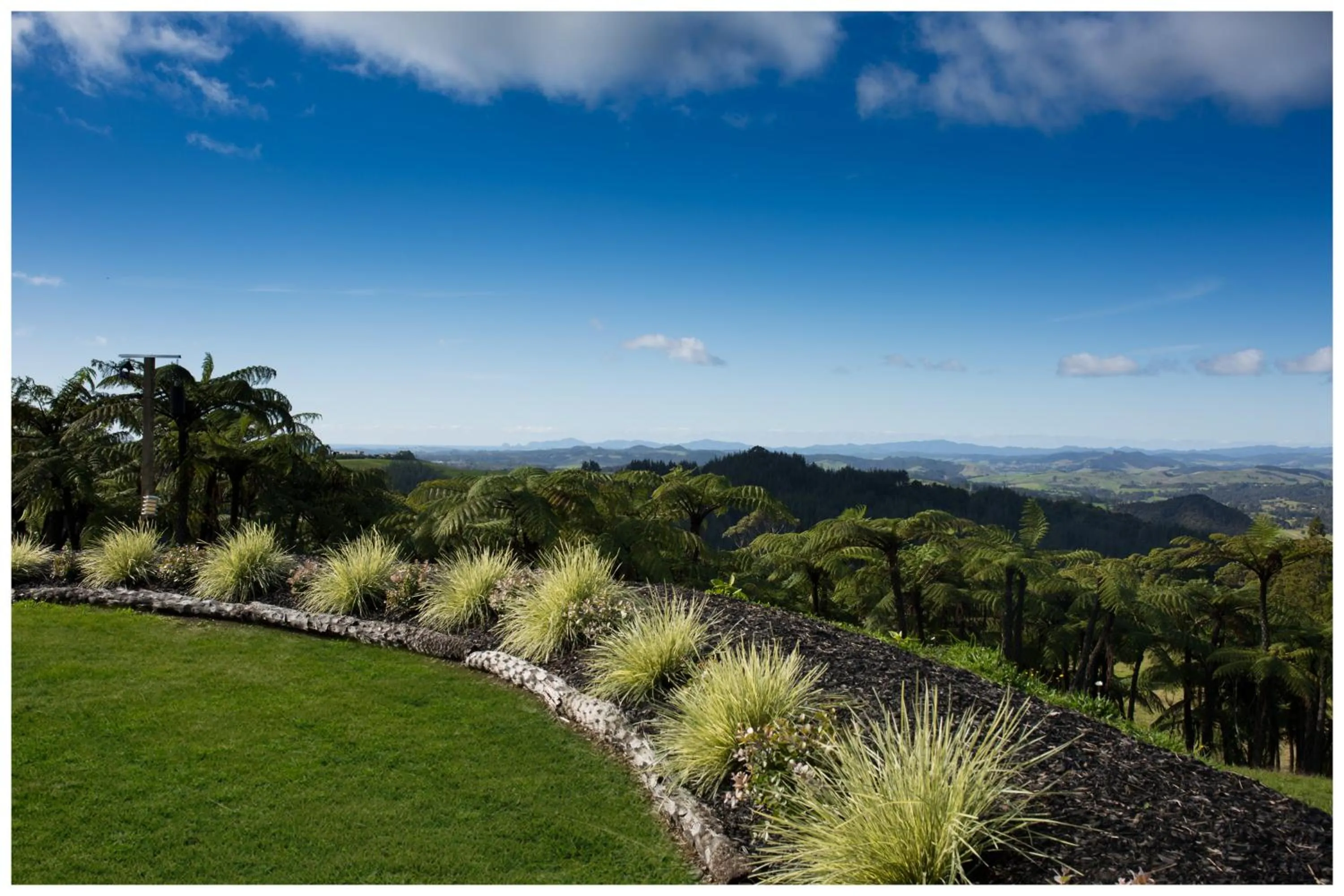 Garden view in Skylark Lodge