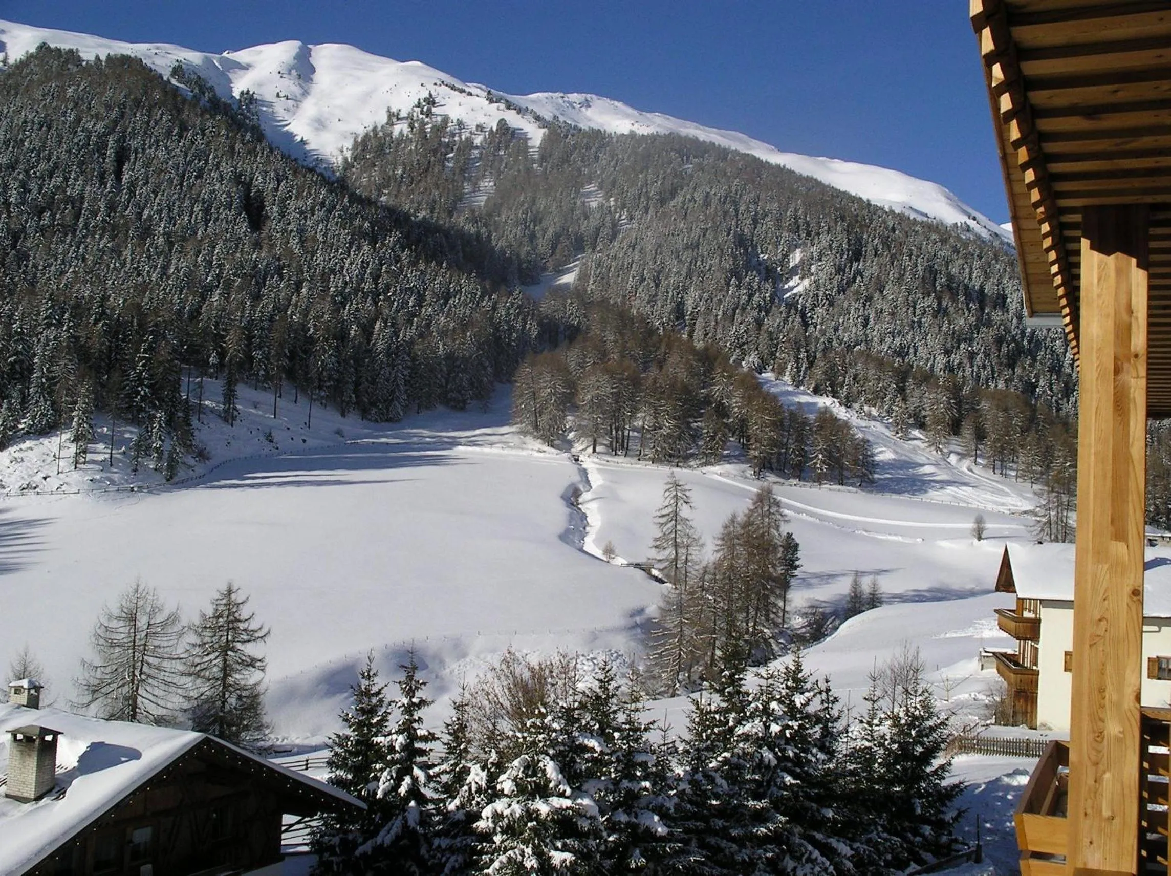 Winter in Hotel Edelweiss