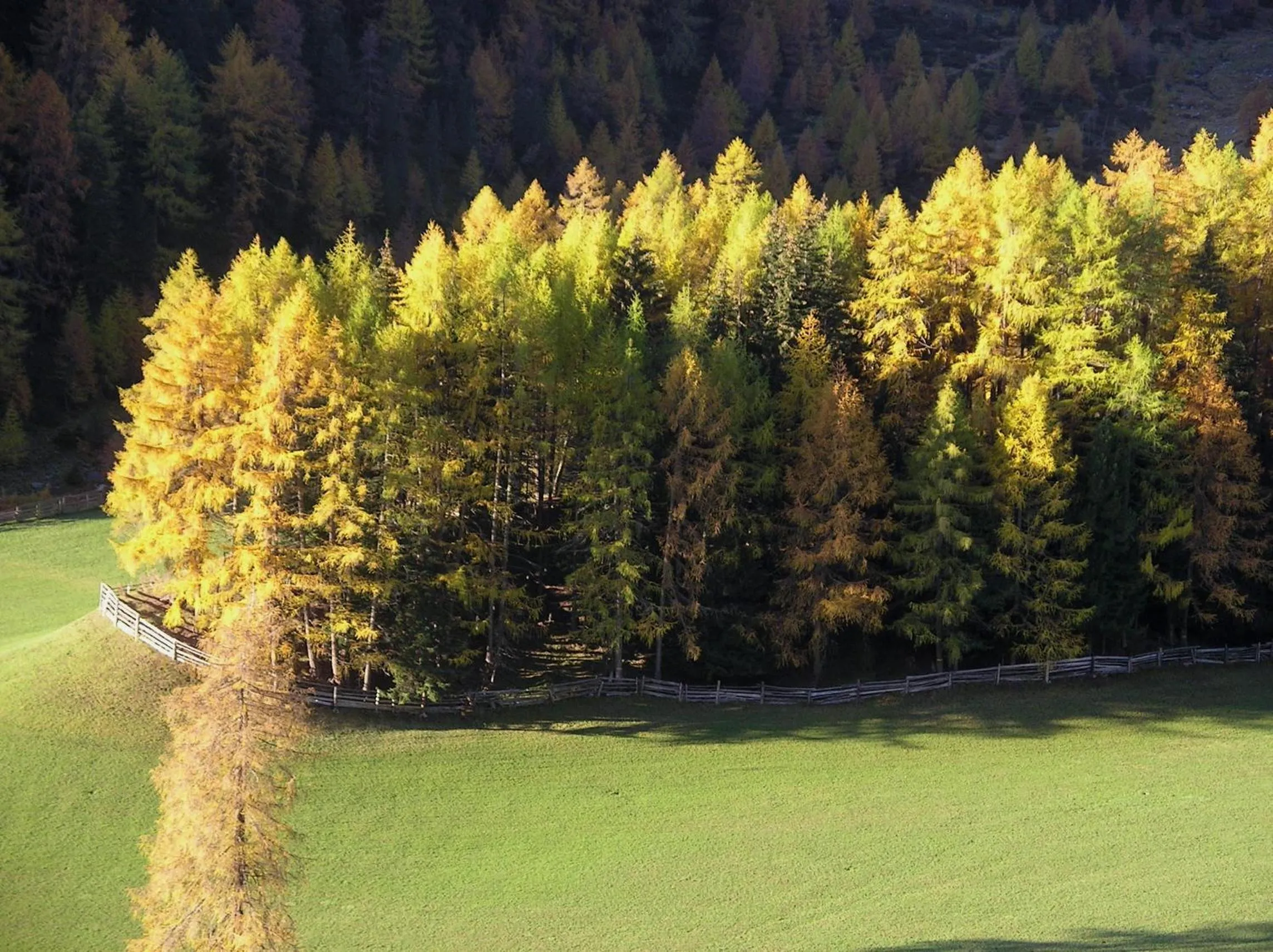 Day in Hotel Edelweiss