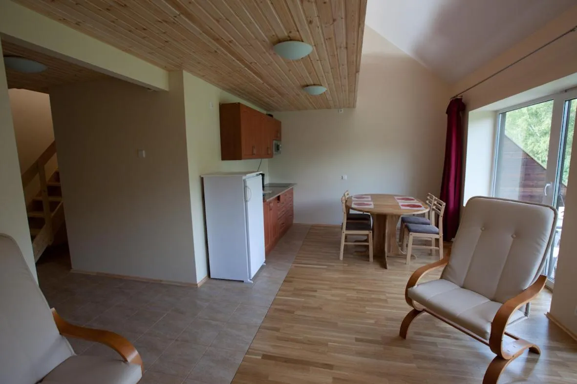 Kitchen or kitchenette in Love Island 2