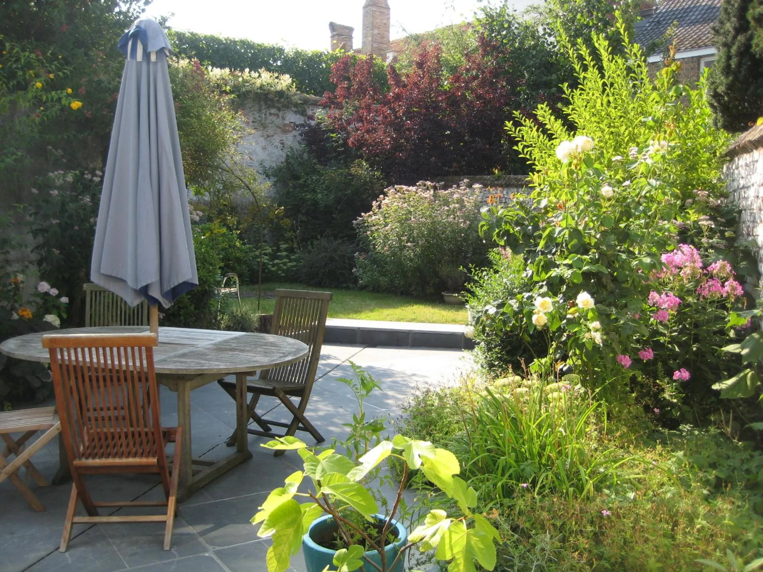 Garden in B&B Huis Willaeys