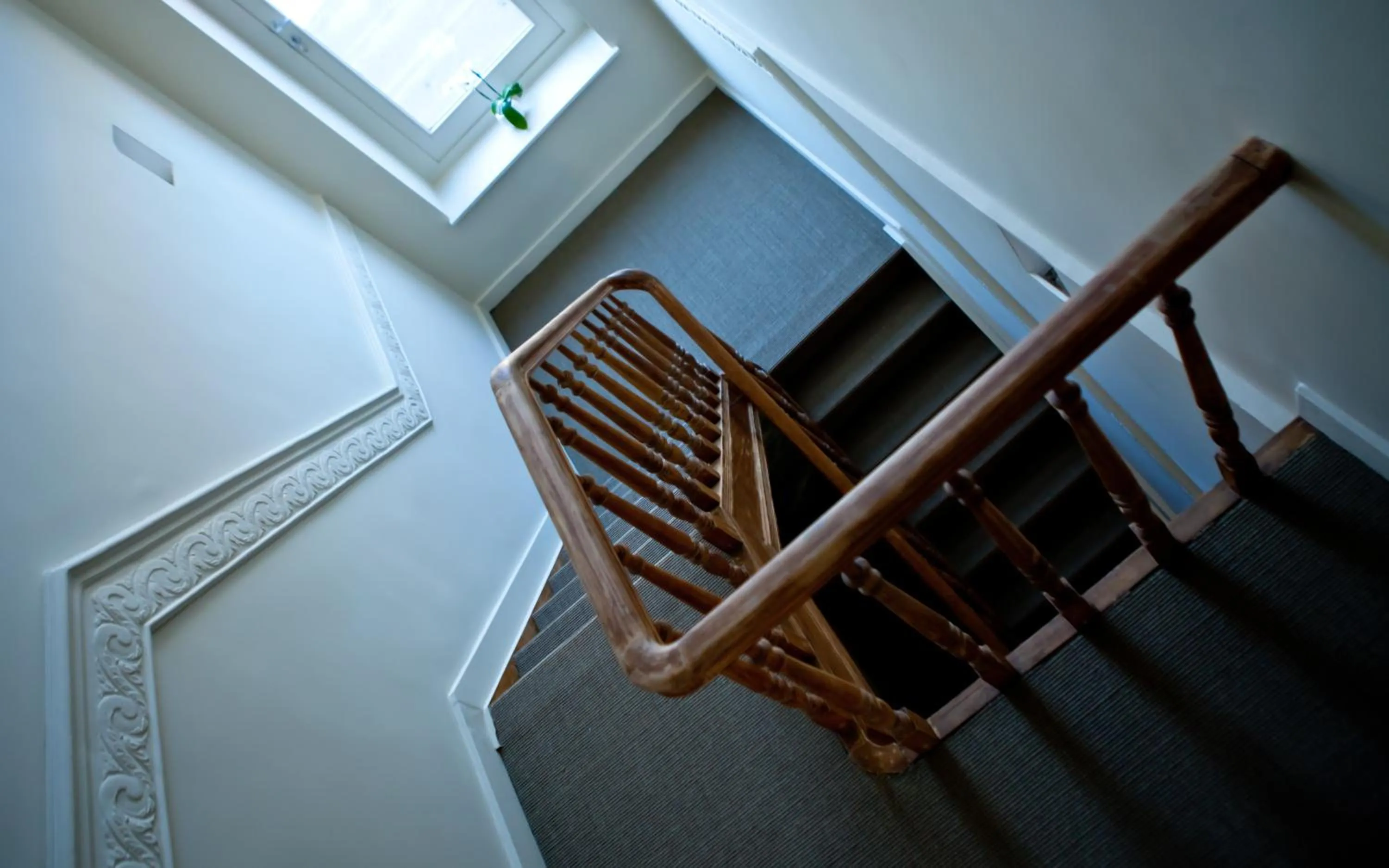 Bird's eye view in B&B Huis Willaeys