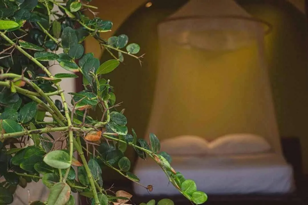 Bed in Cabañas Punta Placer