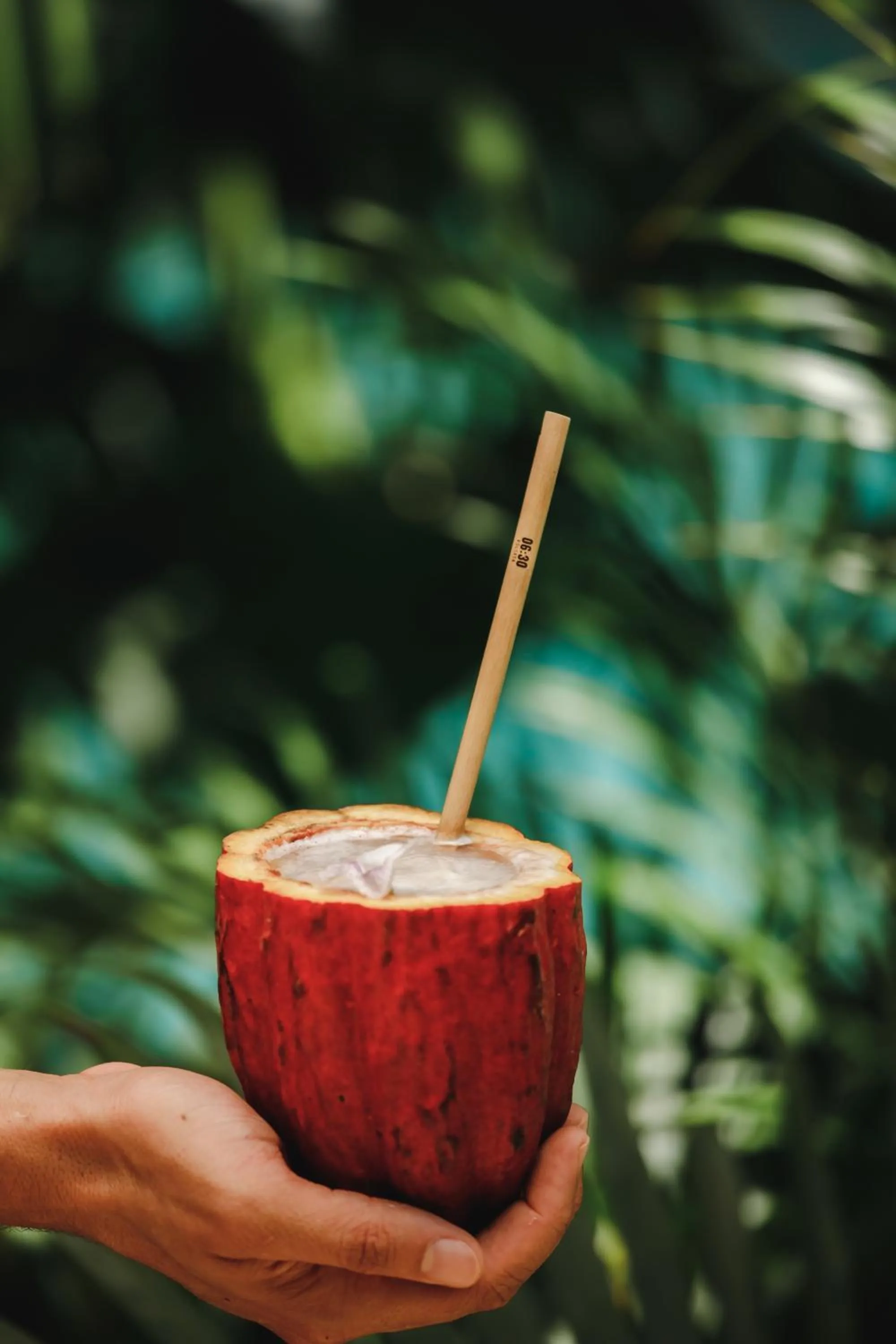 Drinks in Pousada Seis e Meia