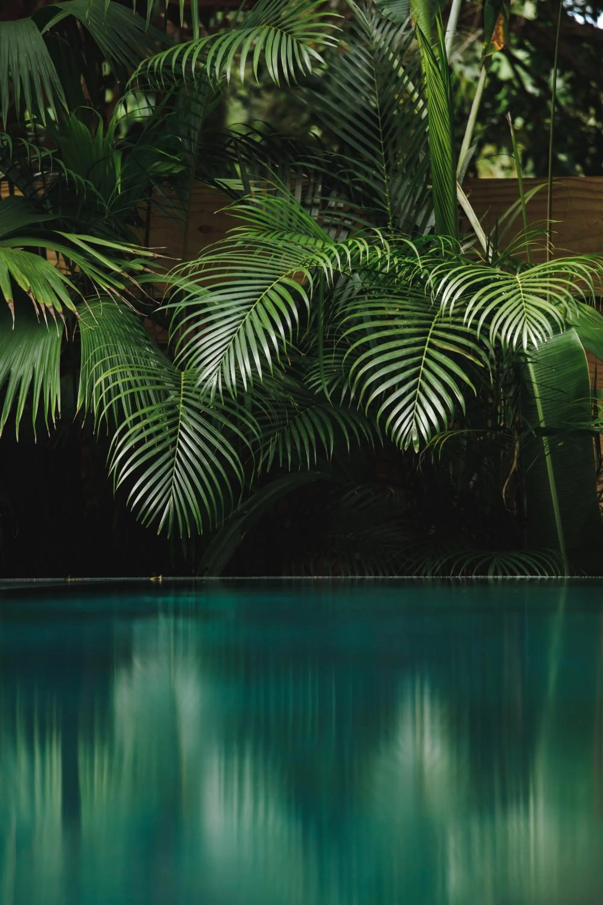 Swimming pool in Pousada Seis e Meia