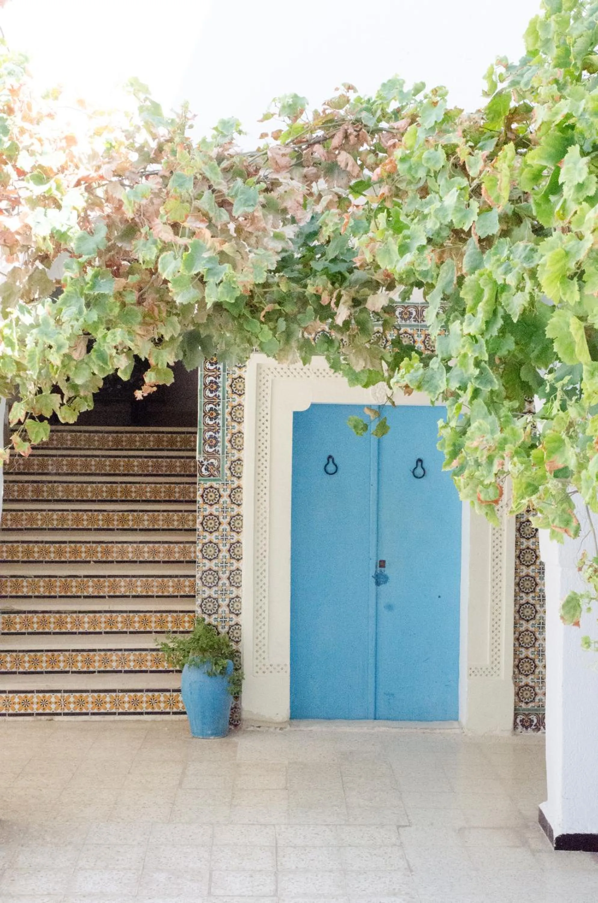 Hôtel Djerba Erriadh