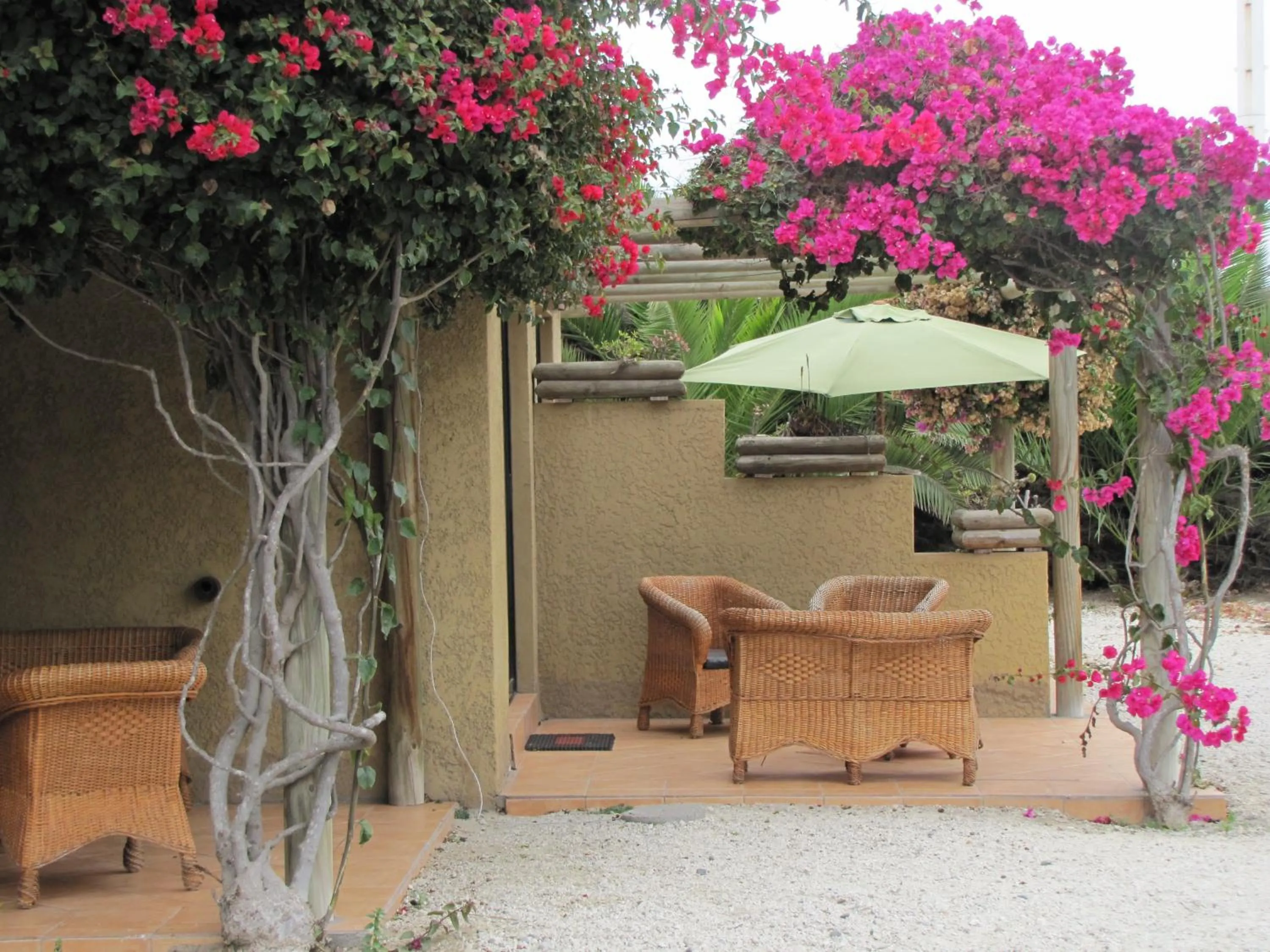 Patio in Apart Hotel Gran Pacifico