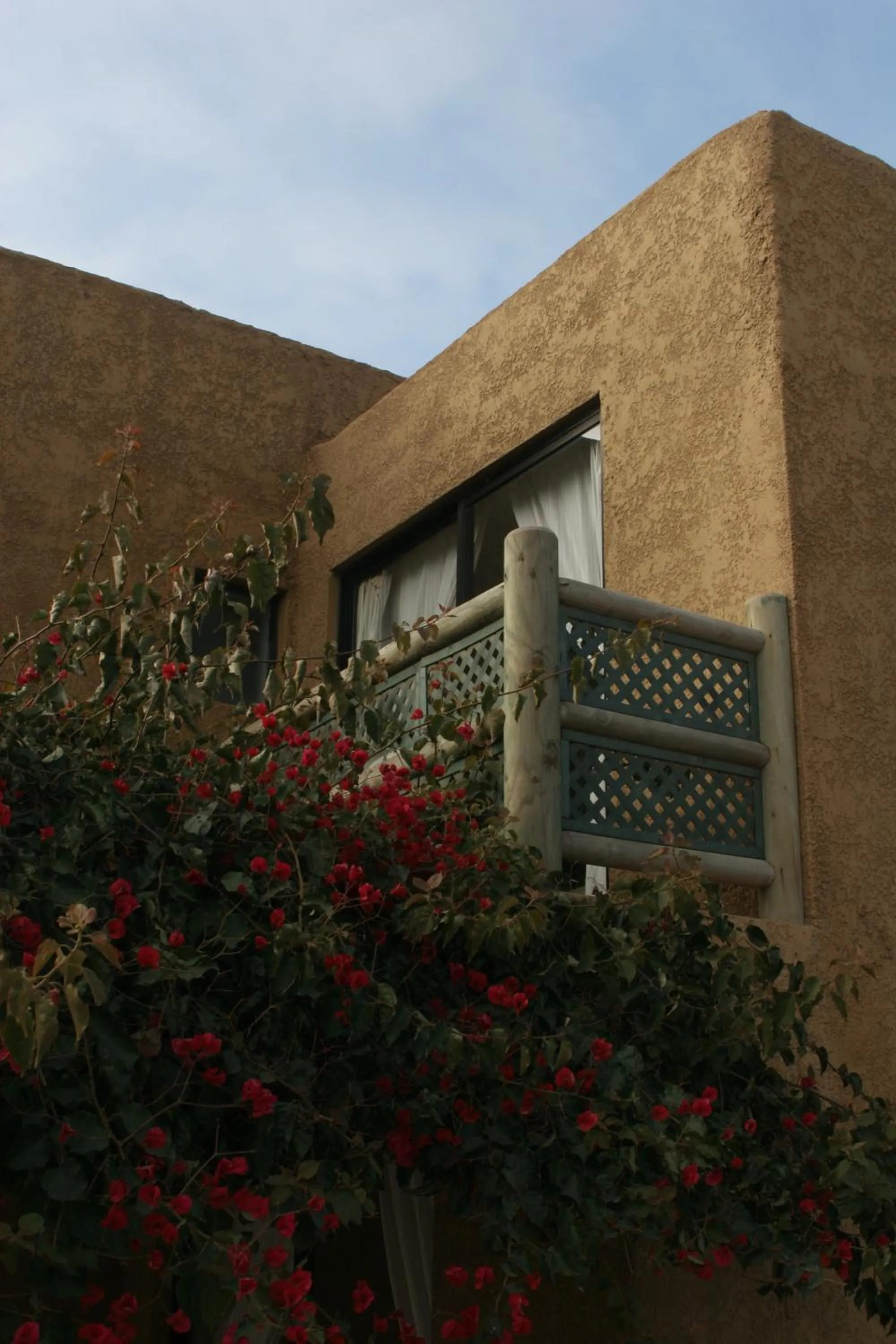 View (from property/room) in Apart Hotel Gran Pacifico