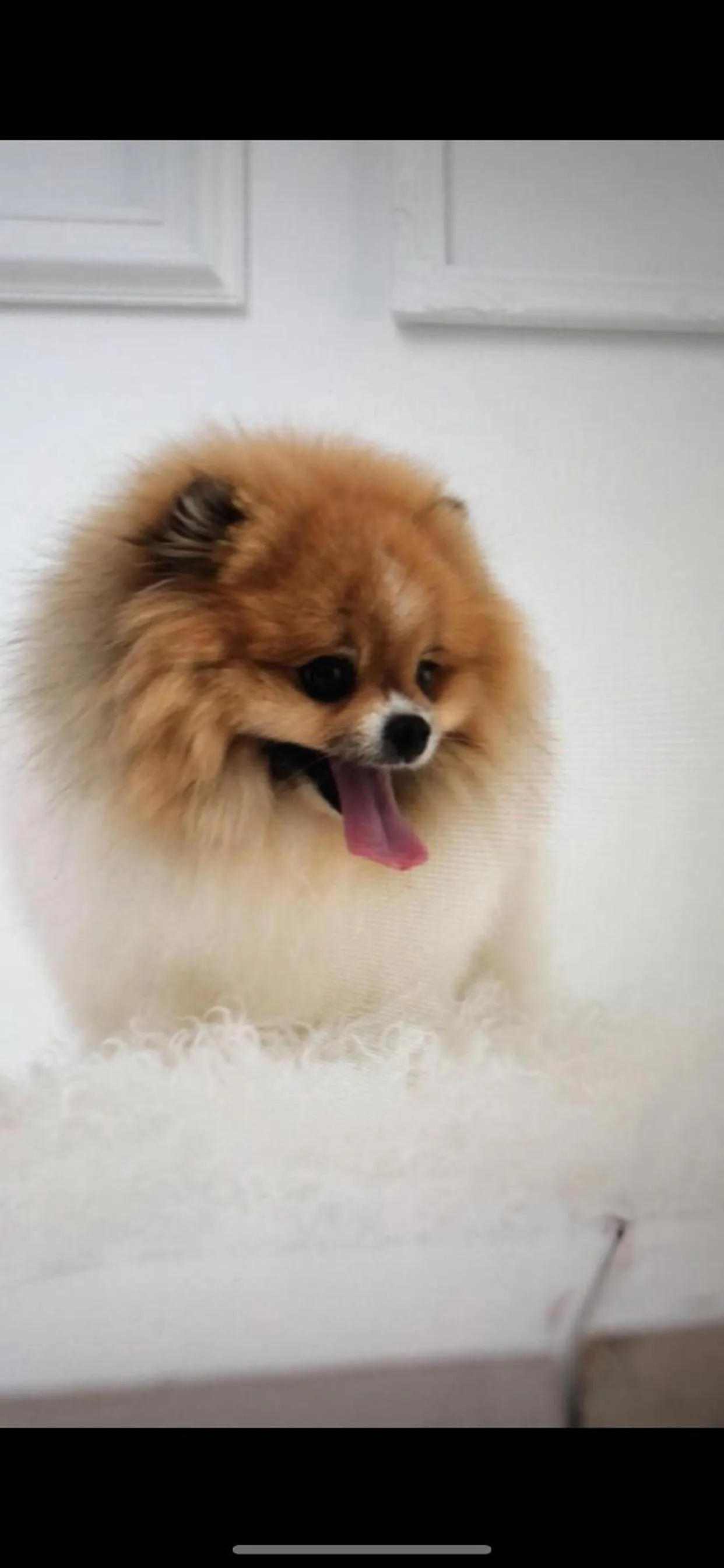 Pacific Paradise Airport Motel