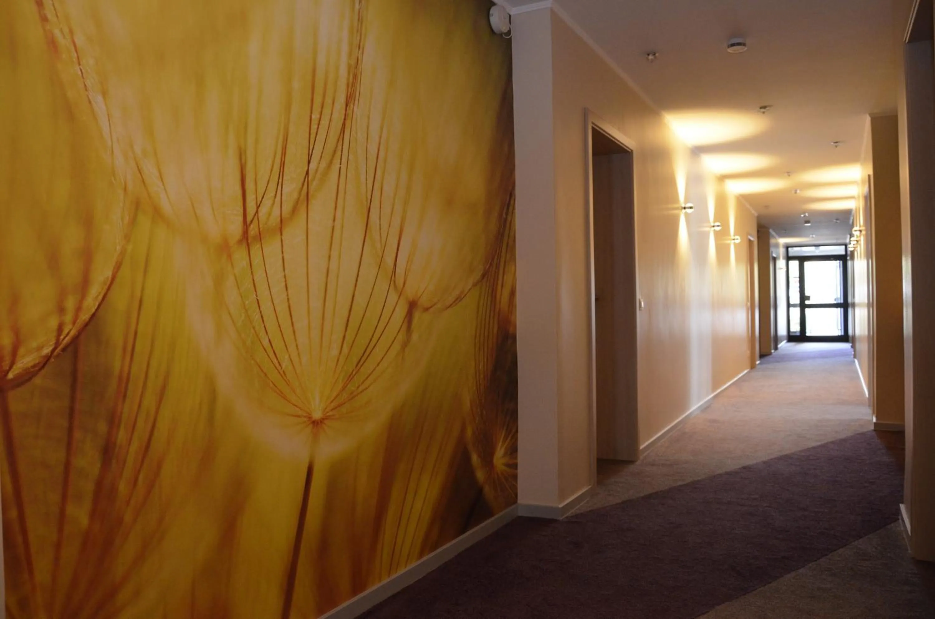 Area and facilities in Hotel Dreyer Garni