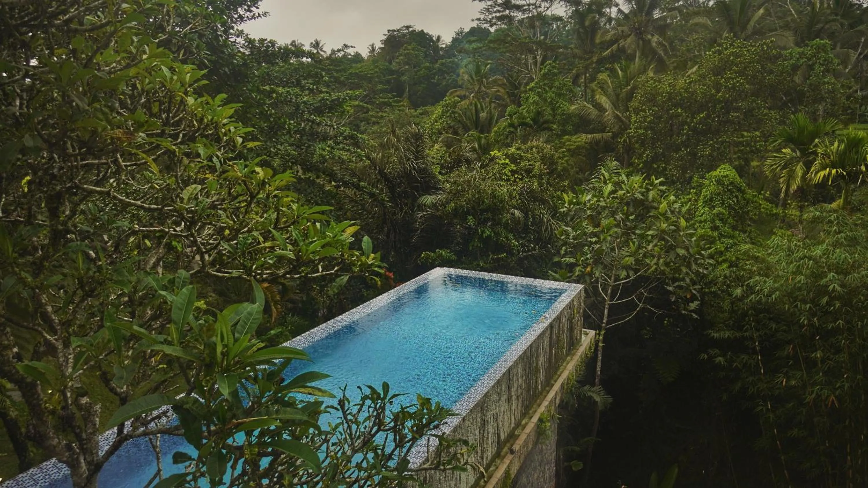 Pool view in Sandhya Villa Ubud