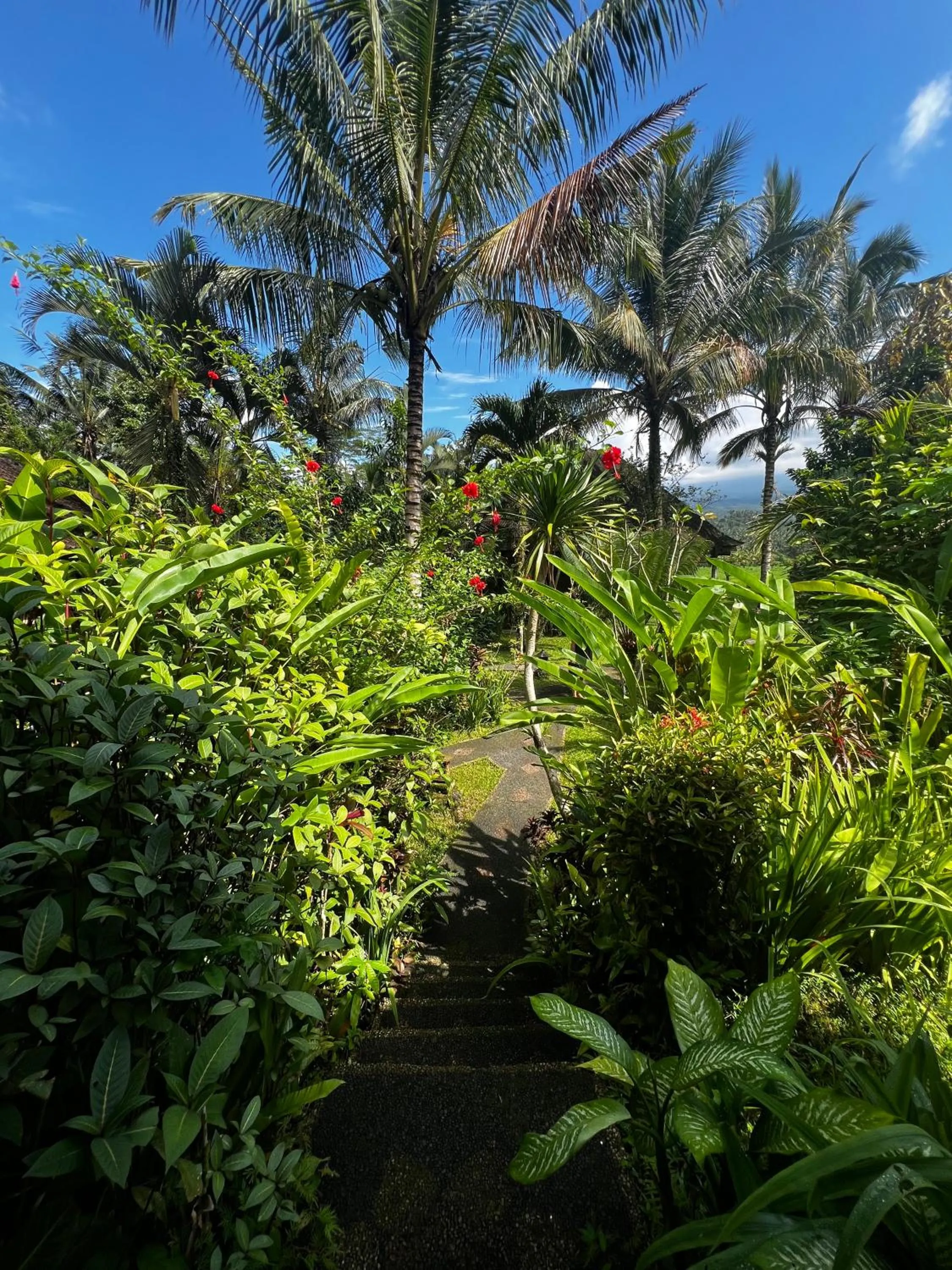 Natural landscape in Great Mountain Views Villa Resort