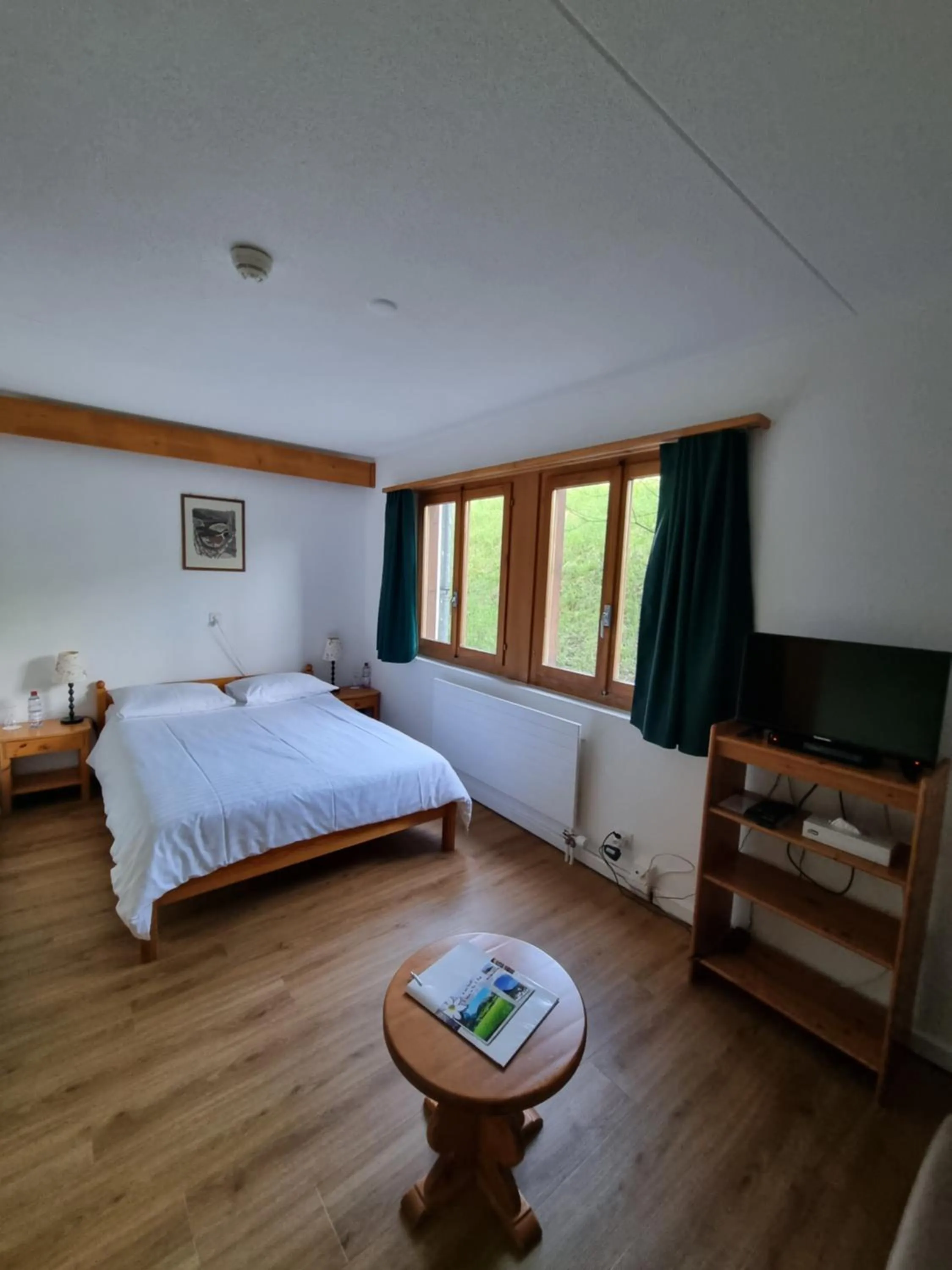 Bed in Hotel Roc et Neige