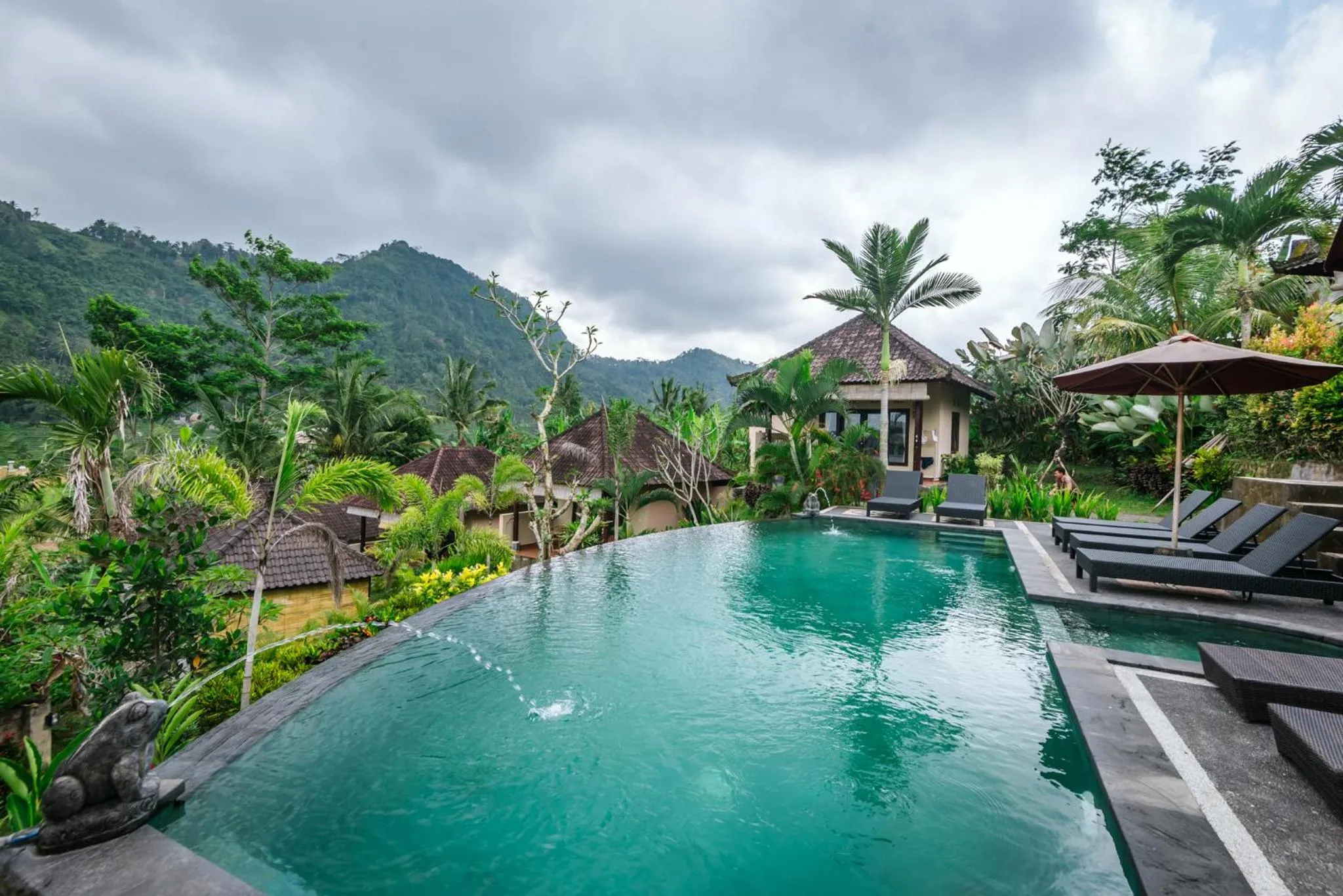Swimming pool in Arta Nadi Villa