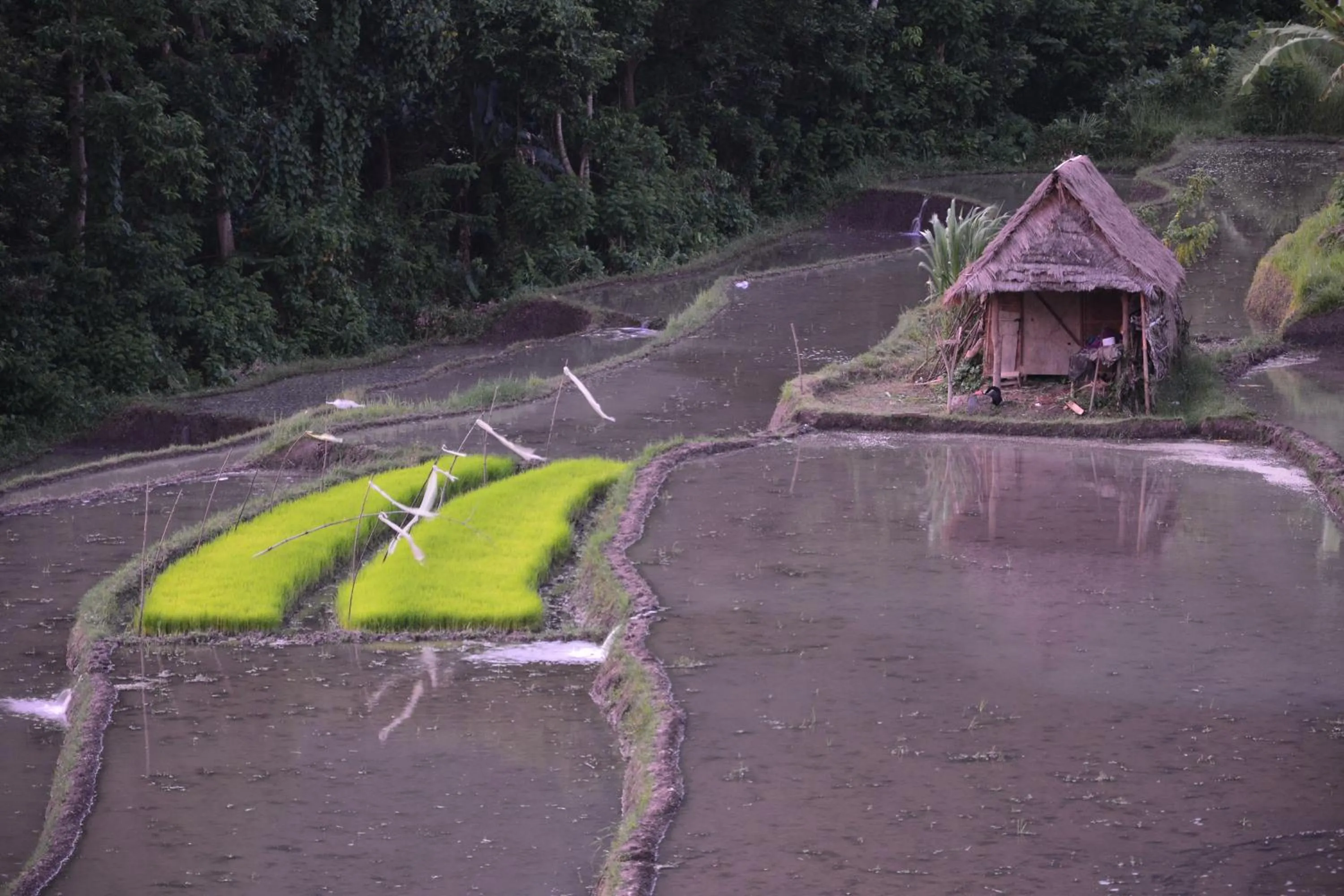 Other in Arta Nadi Villa