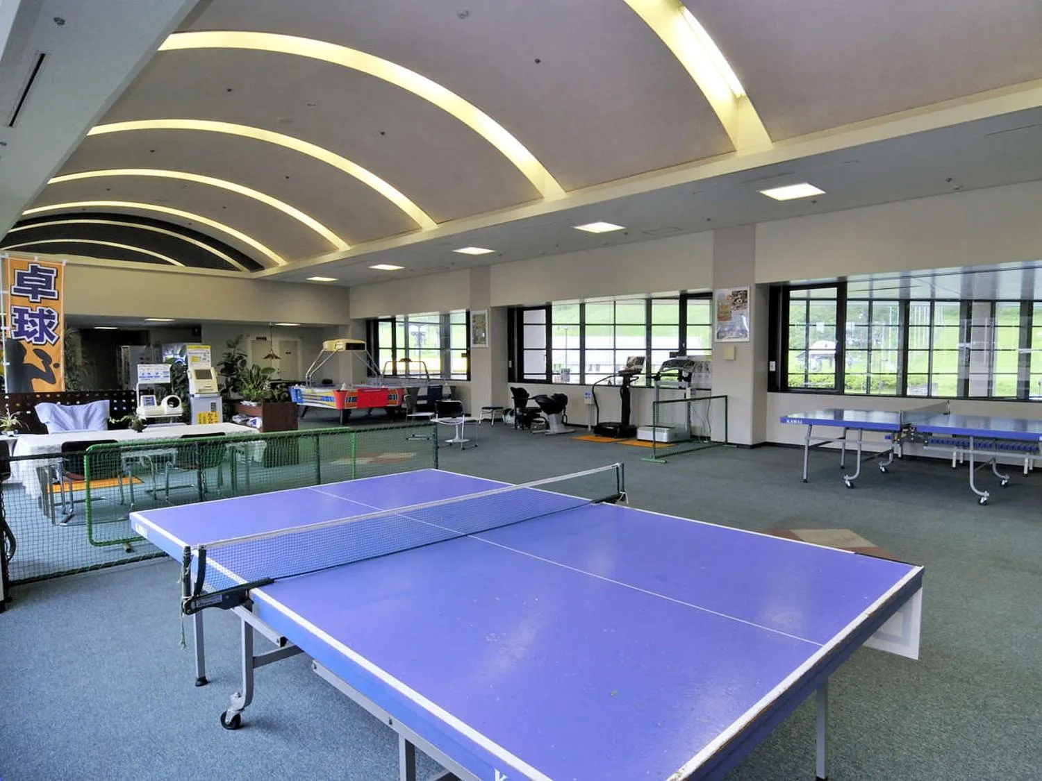 Table tennis in New Greenpia Tsunan