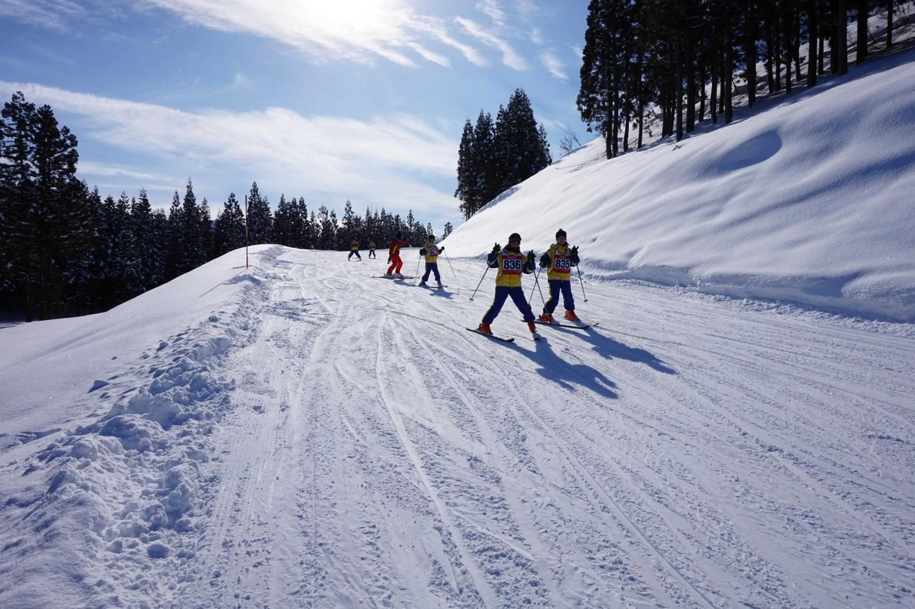 Skiing in New Greenpia Tsunan