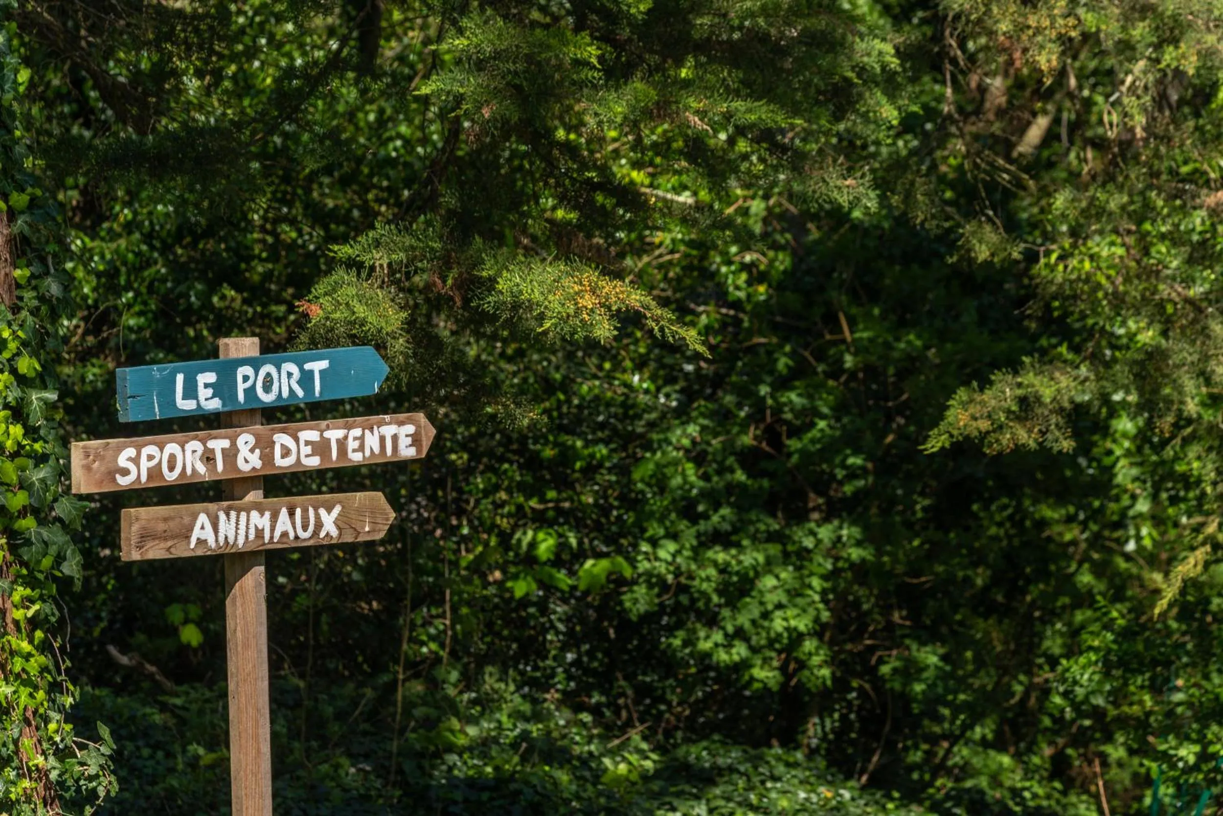 Natural landscape in Hôtel Naéco Audierne