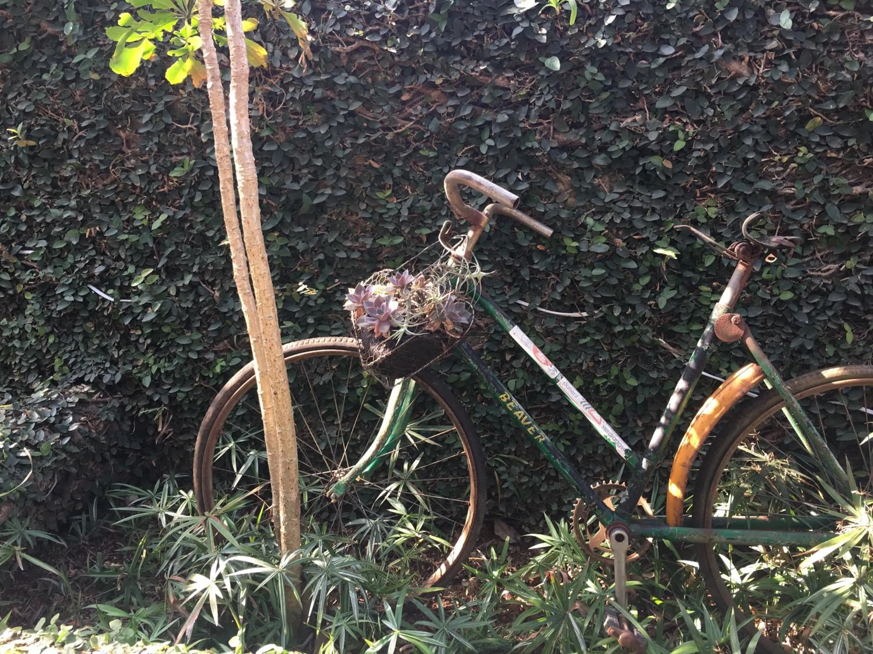 Garden in Sabie Self Catering Apartments