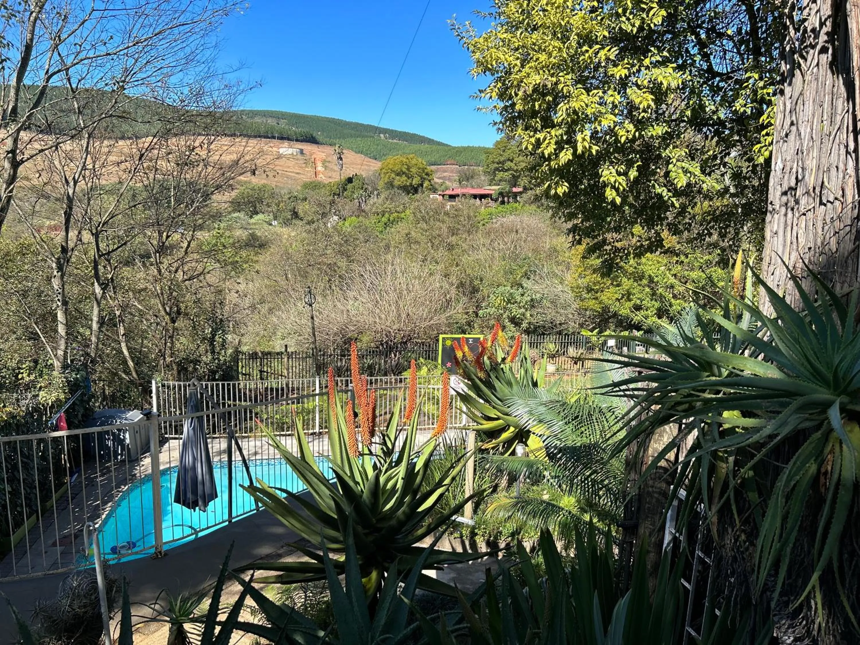 Pool view in Sabie Self Catering Apartments
