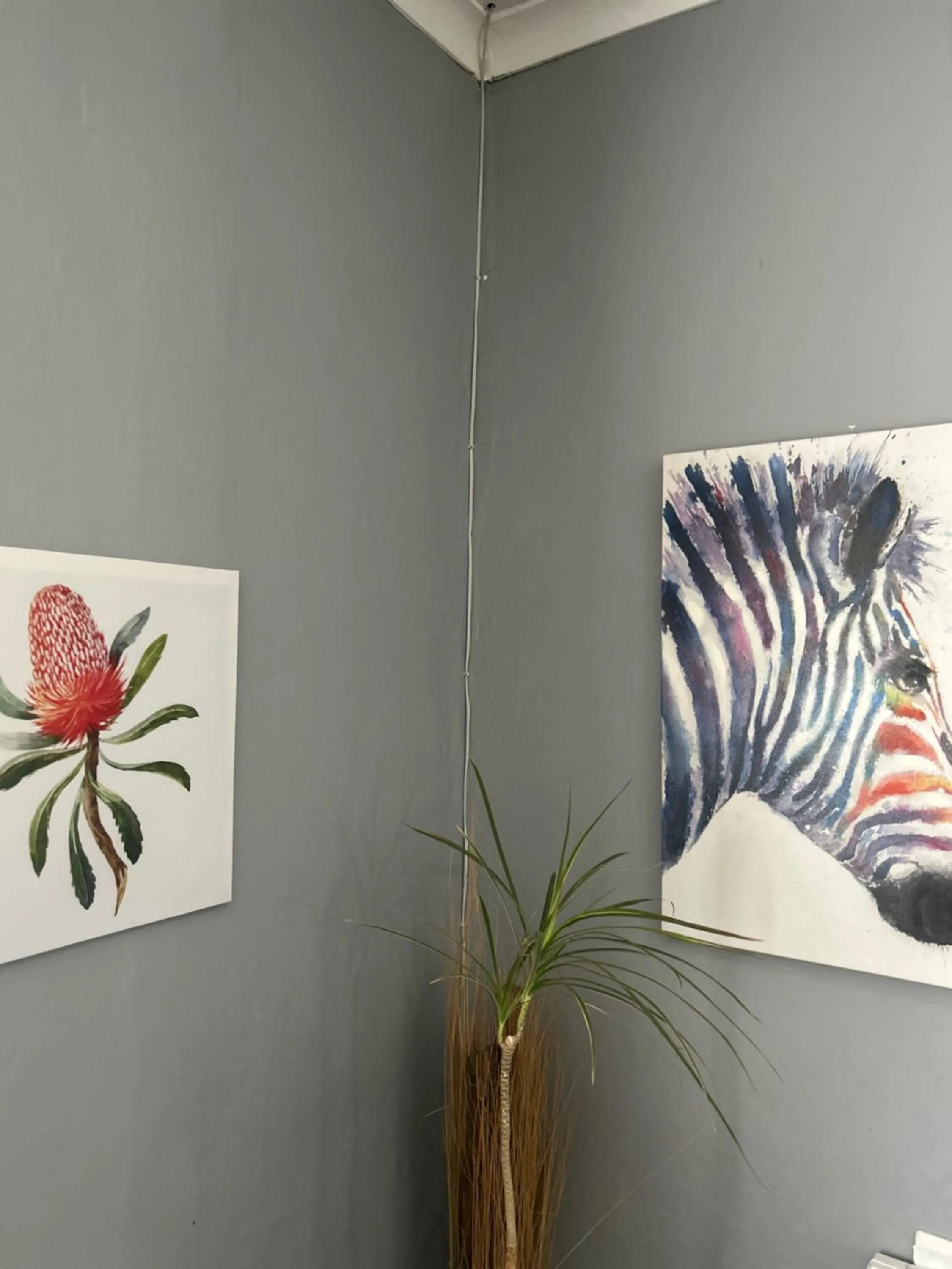 Decorative detail in Sabie Self Catering Apartments