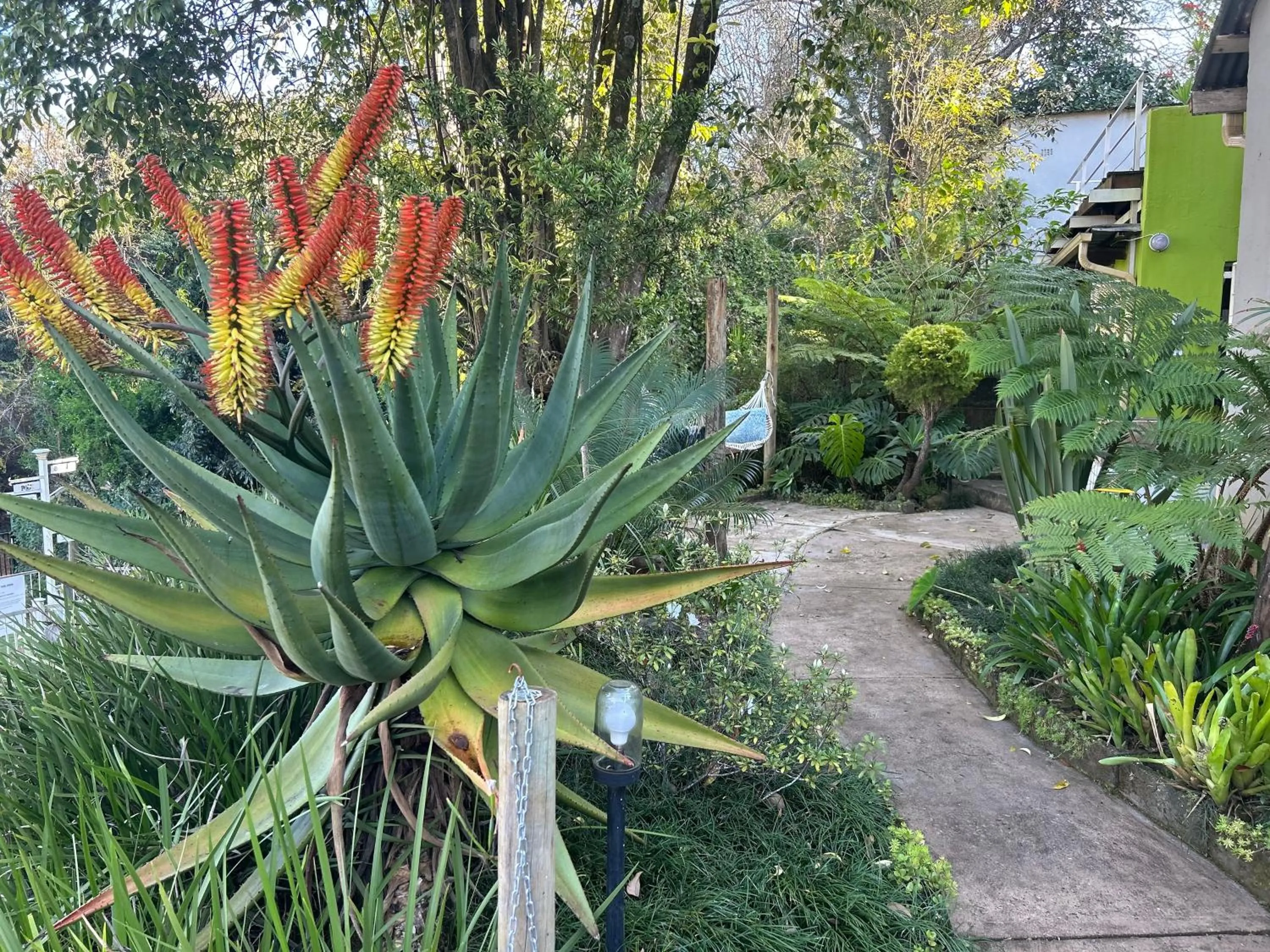 Garden in Sabie Self Catering Apartments