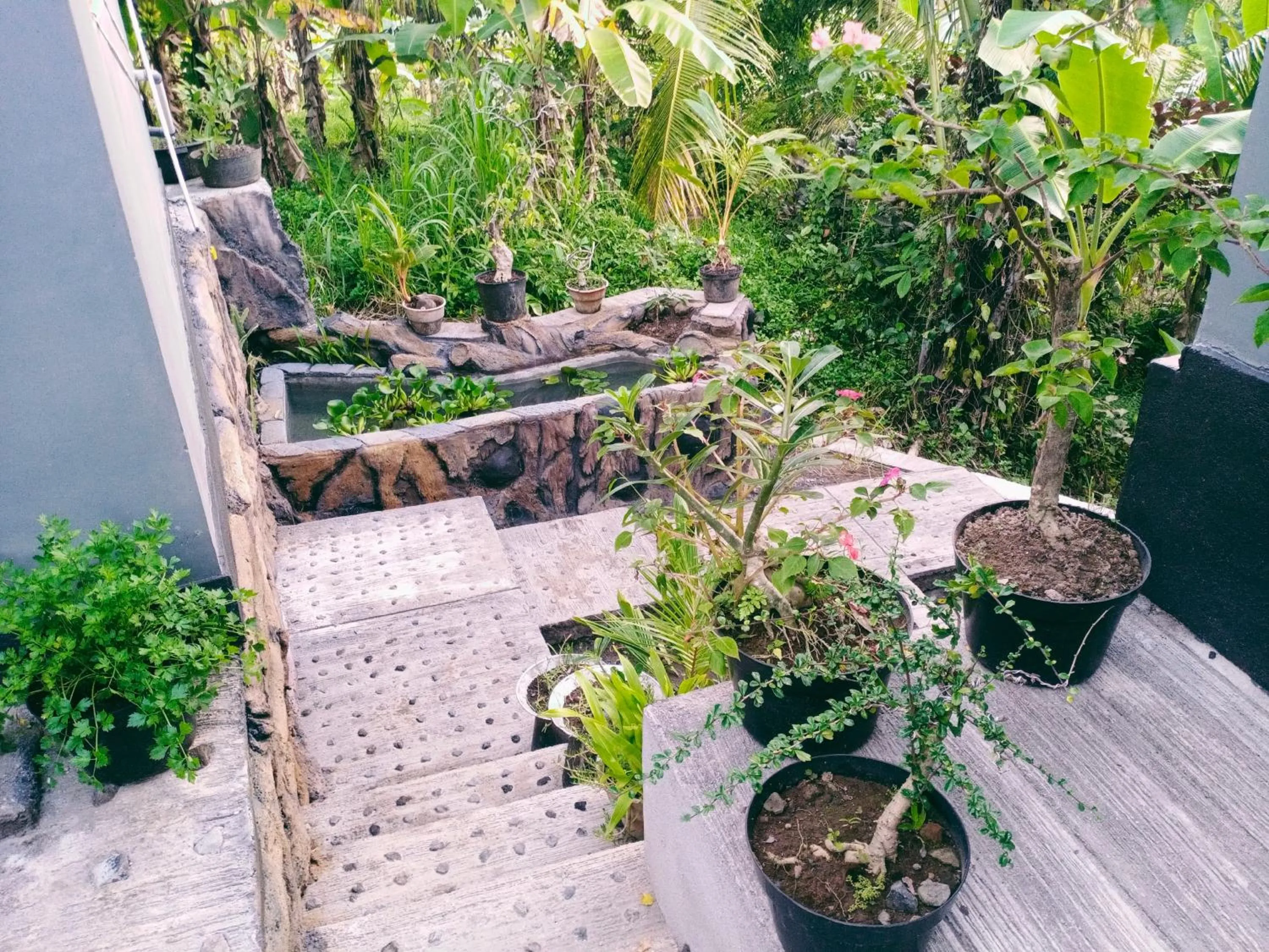 Garden view in Khrisna Hs and Cottages