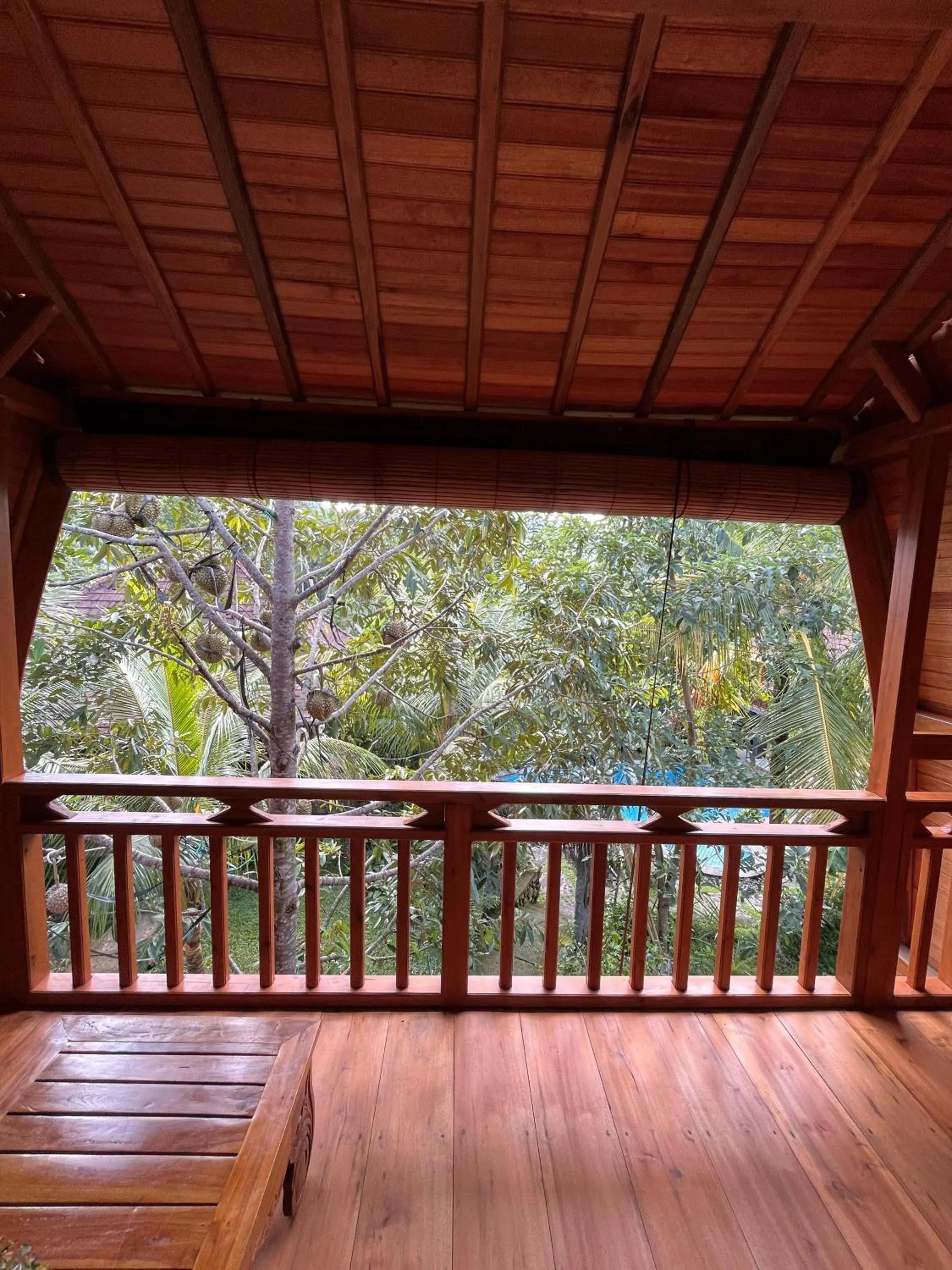 Mountain view in Khrisna Hs and Cottages