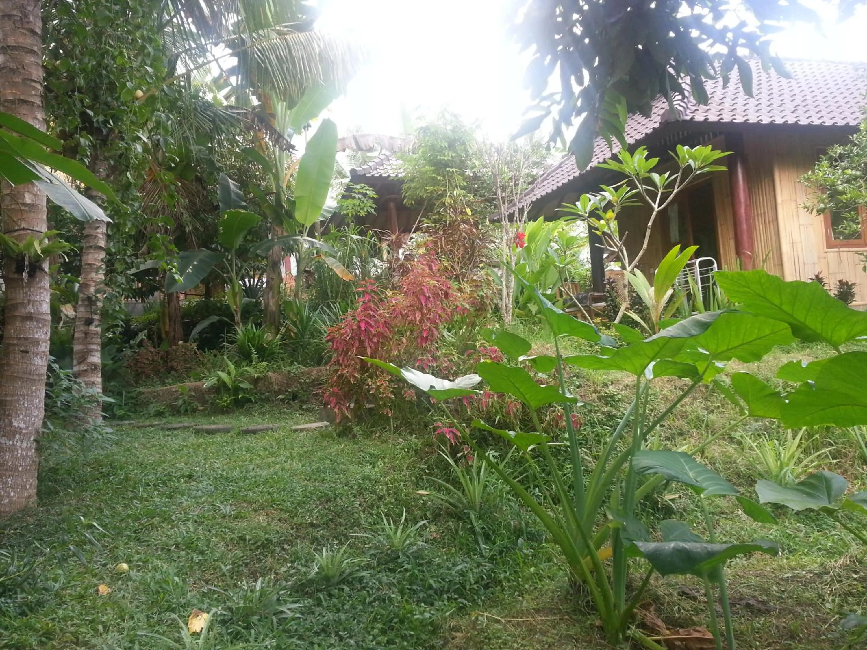 Natural landscape in Khrisna Hs and Cottages