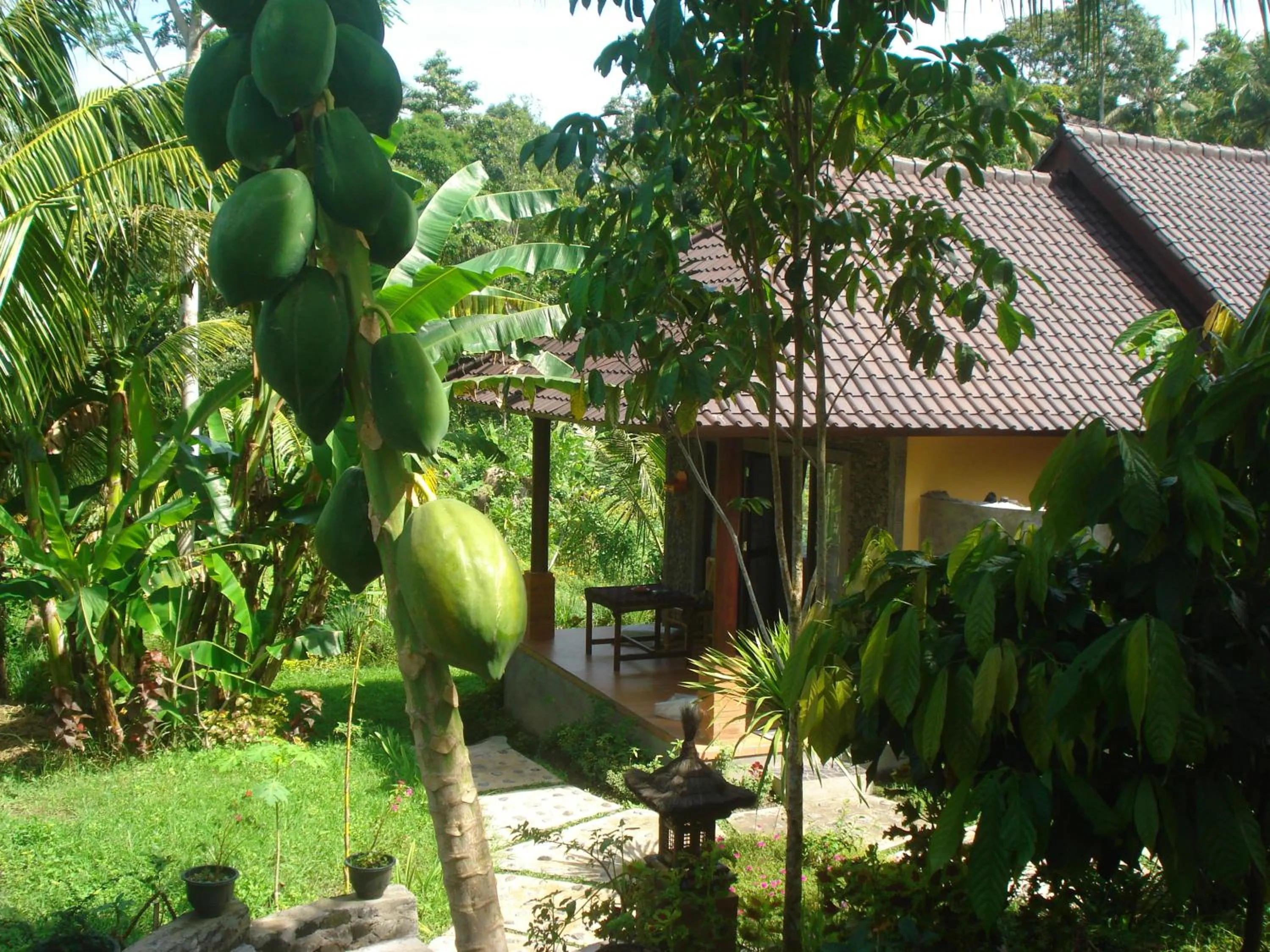 Garden view in Khrisna Hs and Cottages