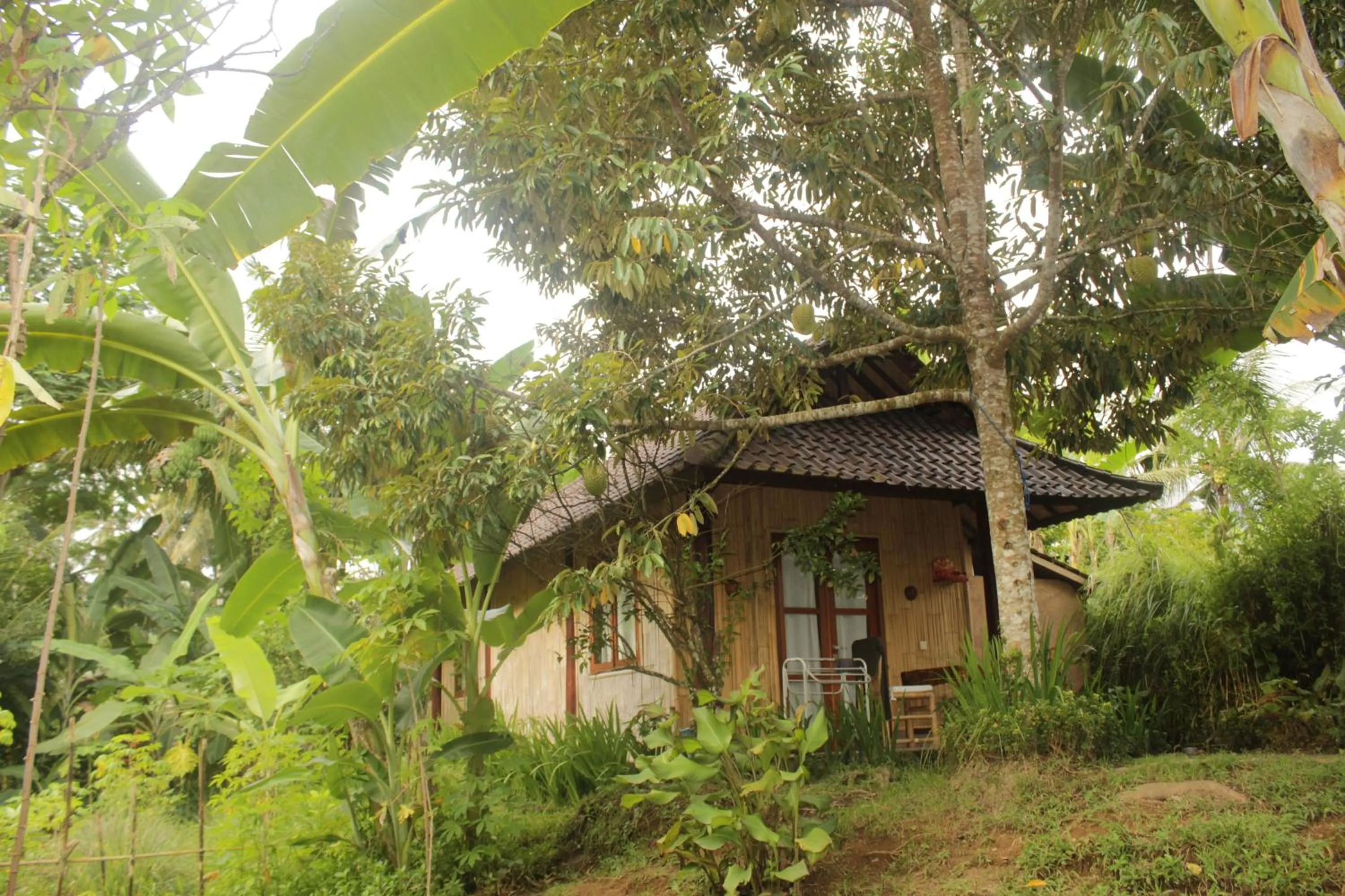 Balcony/Terrace in Khrisna Hs and Cottages