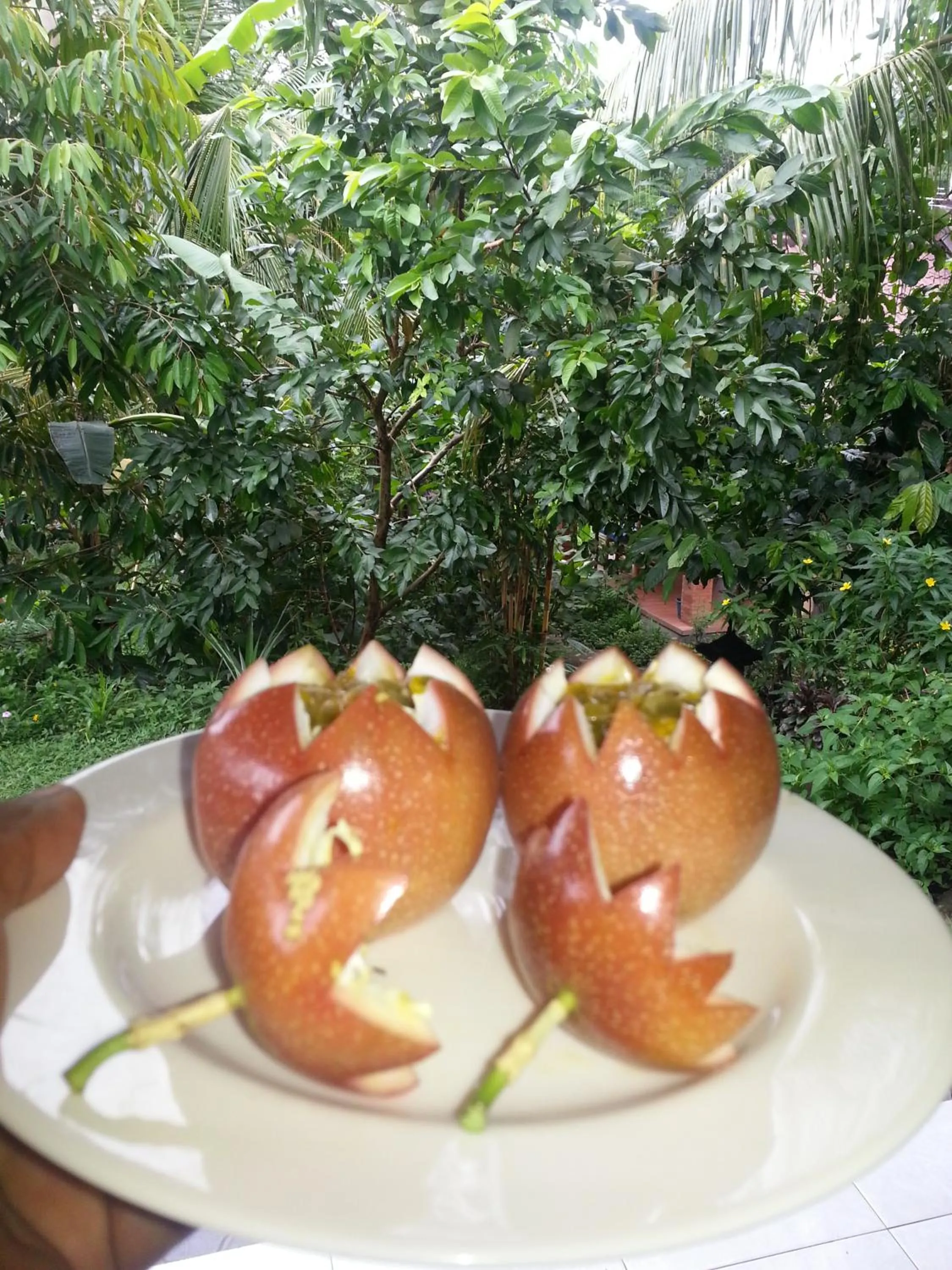 Non alcoholic drinks in Khrisna Hs and Cottages