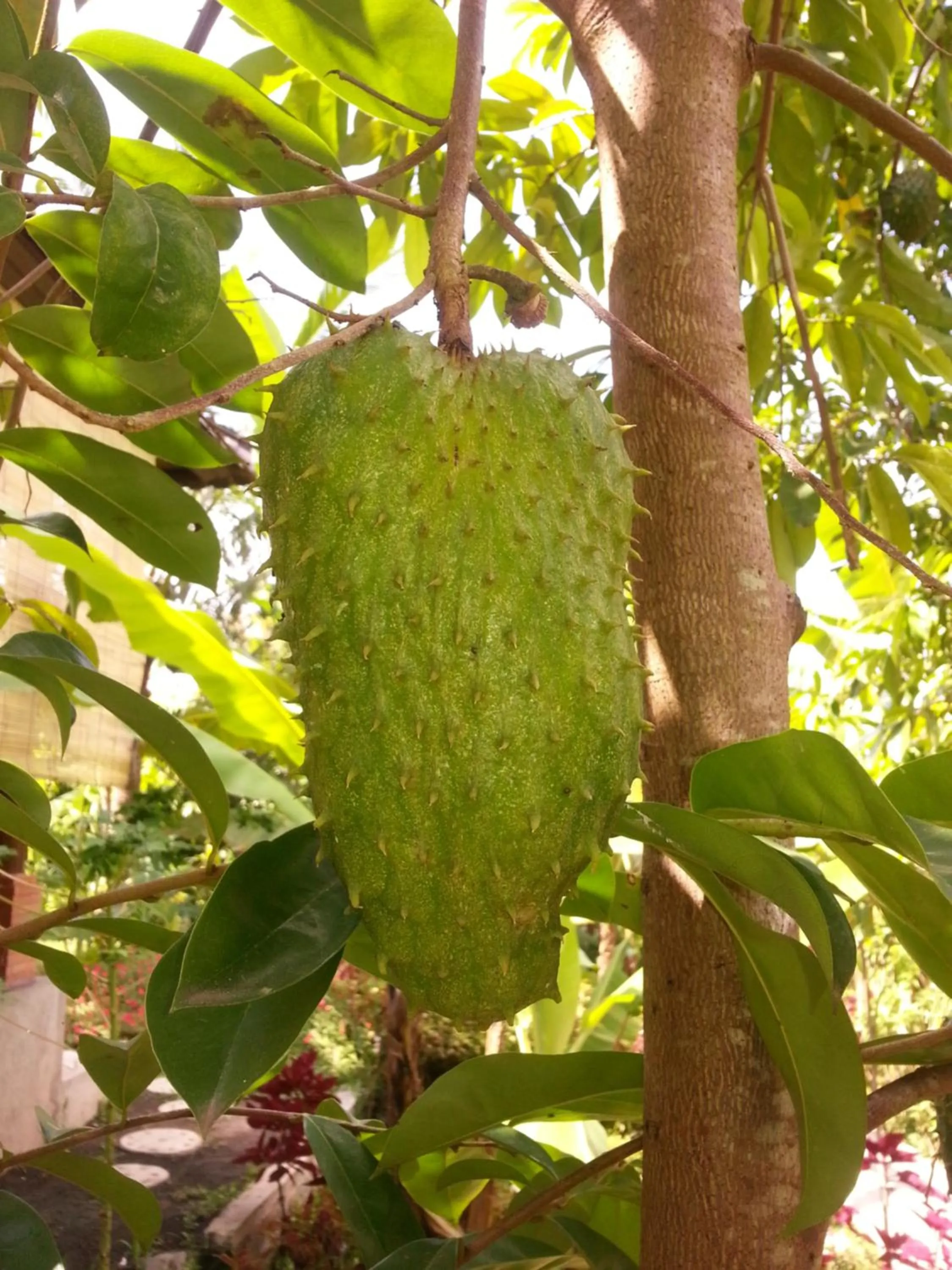 Food and drinks in Khrisna Hs and Cottages