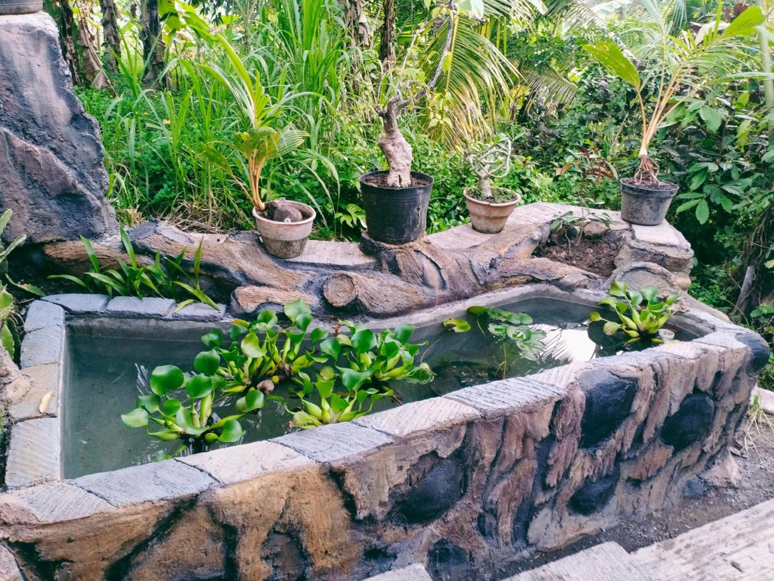 Garden view in Khrisna Hs and Cottages