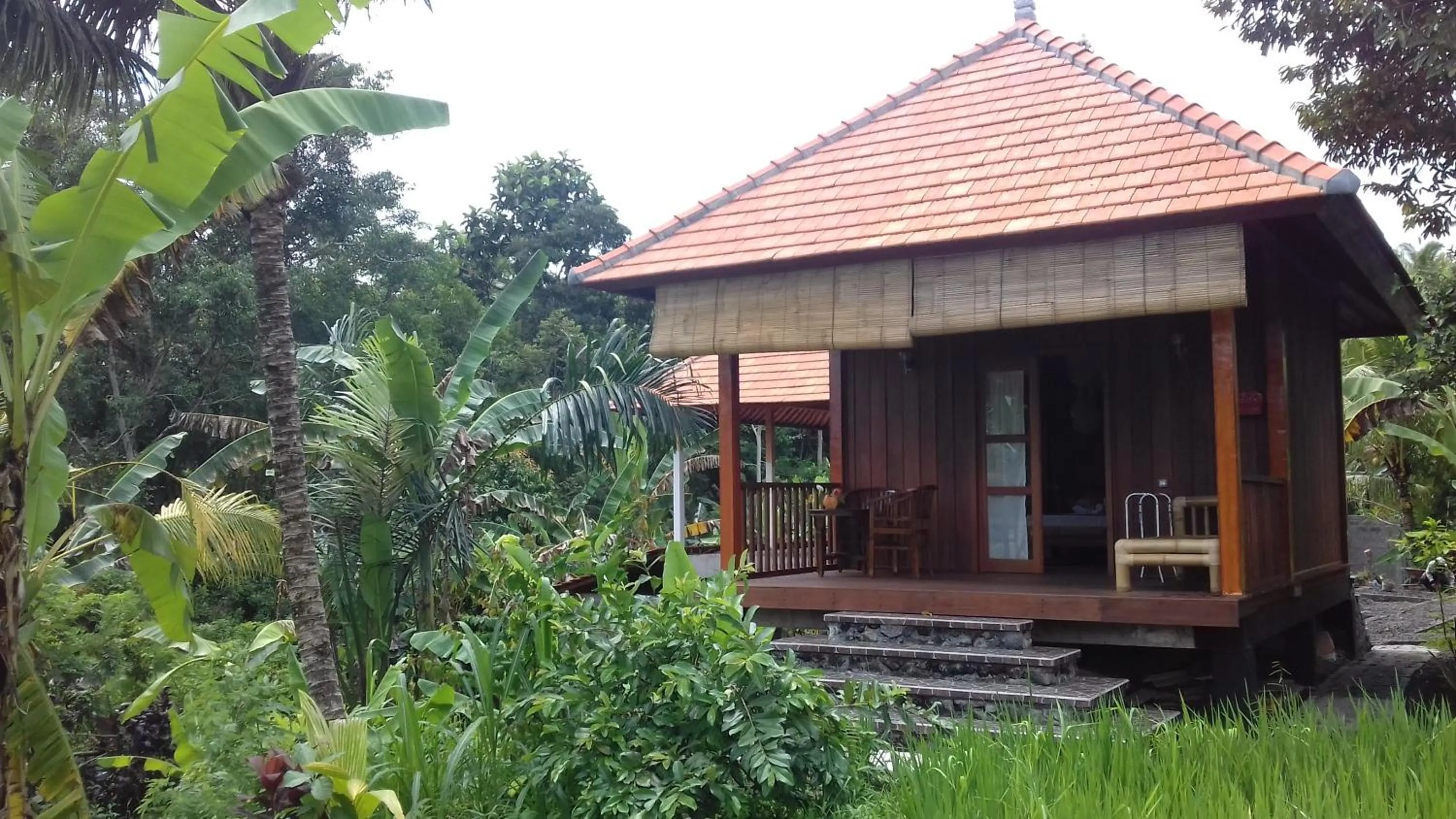 Garden view in Khrisna Hs and Cottages
