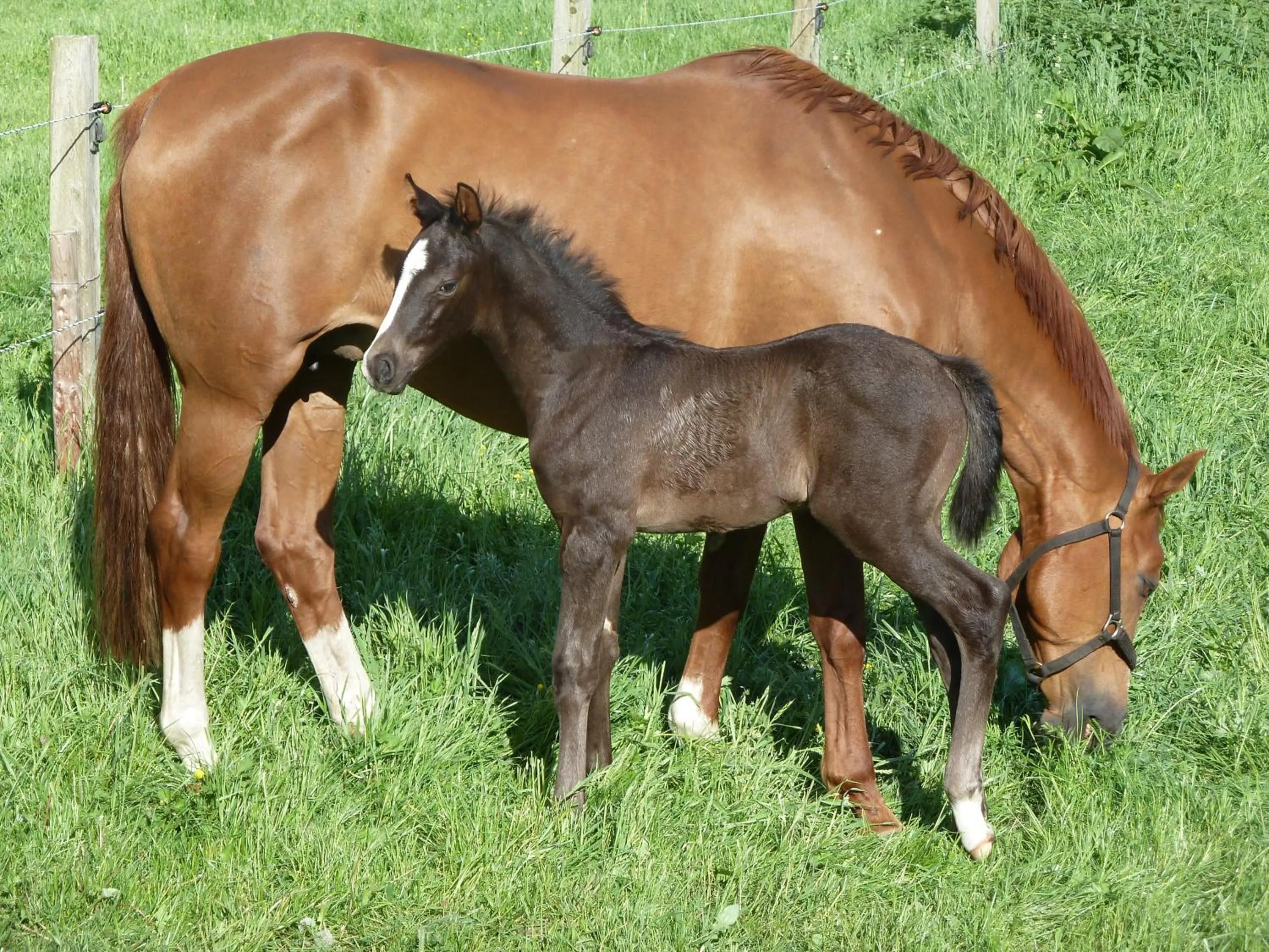 Area and facilities in Hotel Up de Birke
