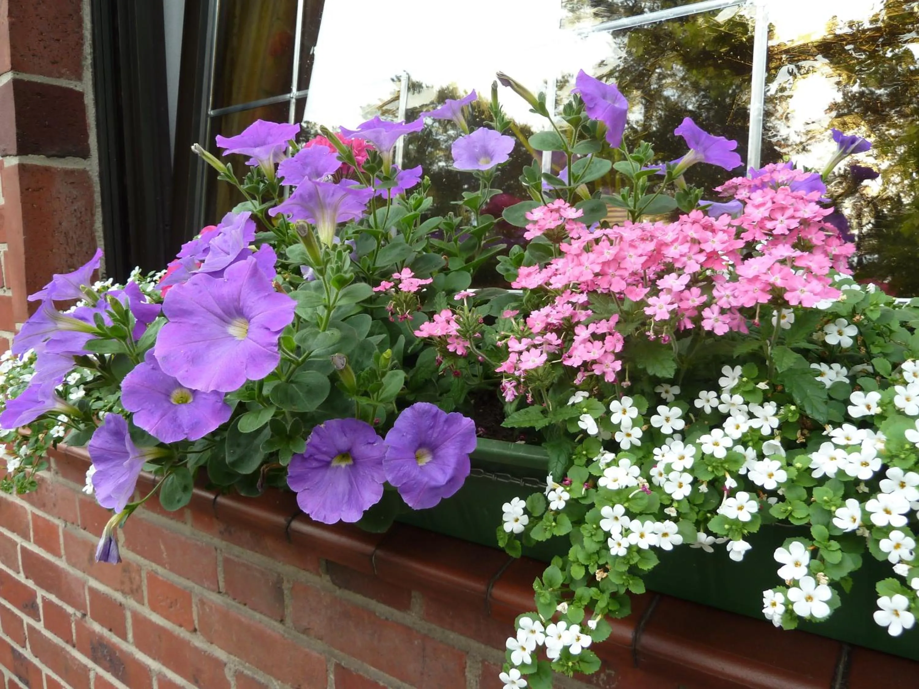 Garden in Hotel Up de Birke