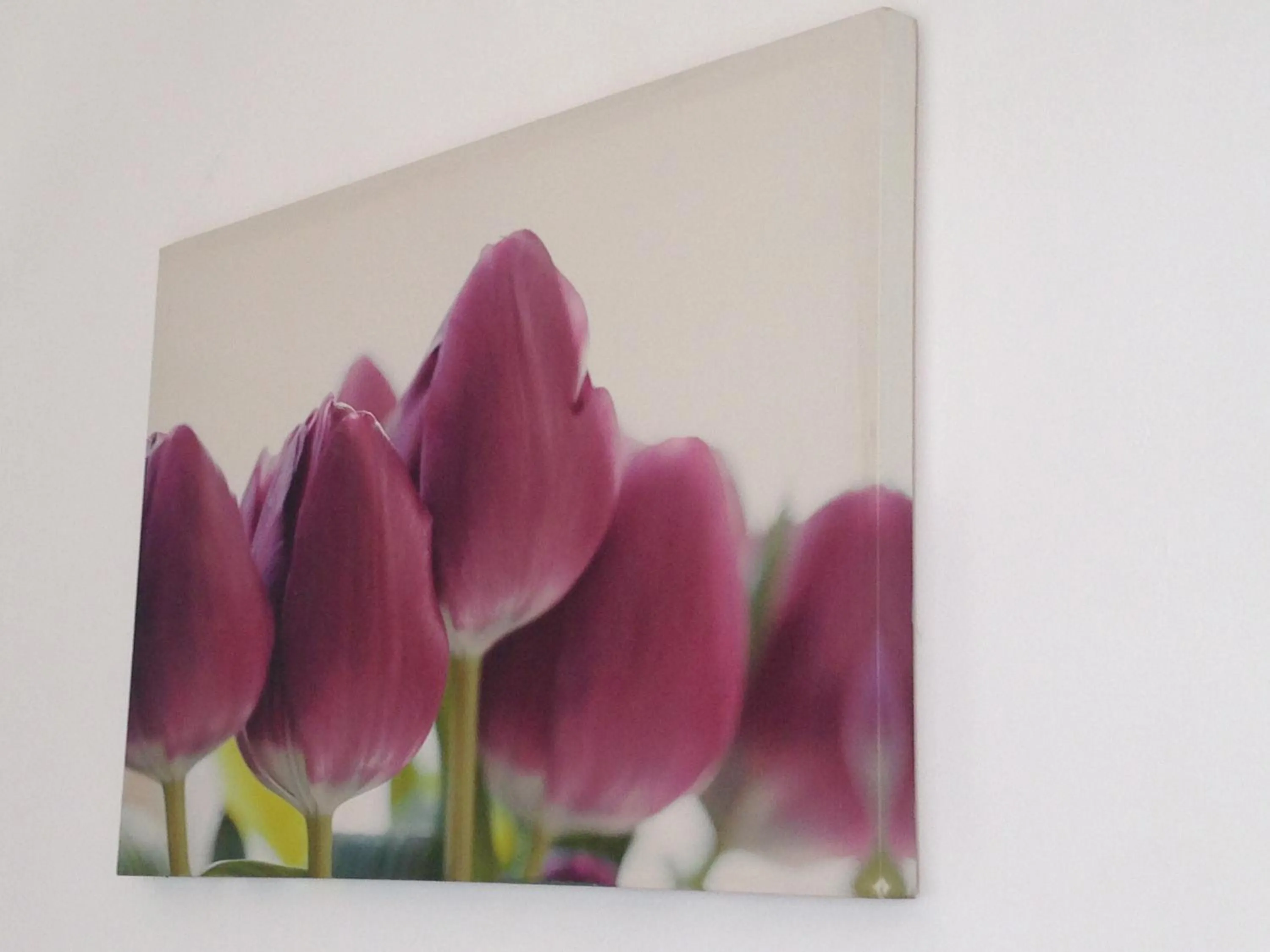 Other in Zefyros Hotel